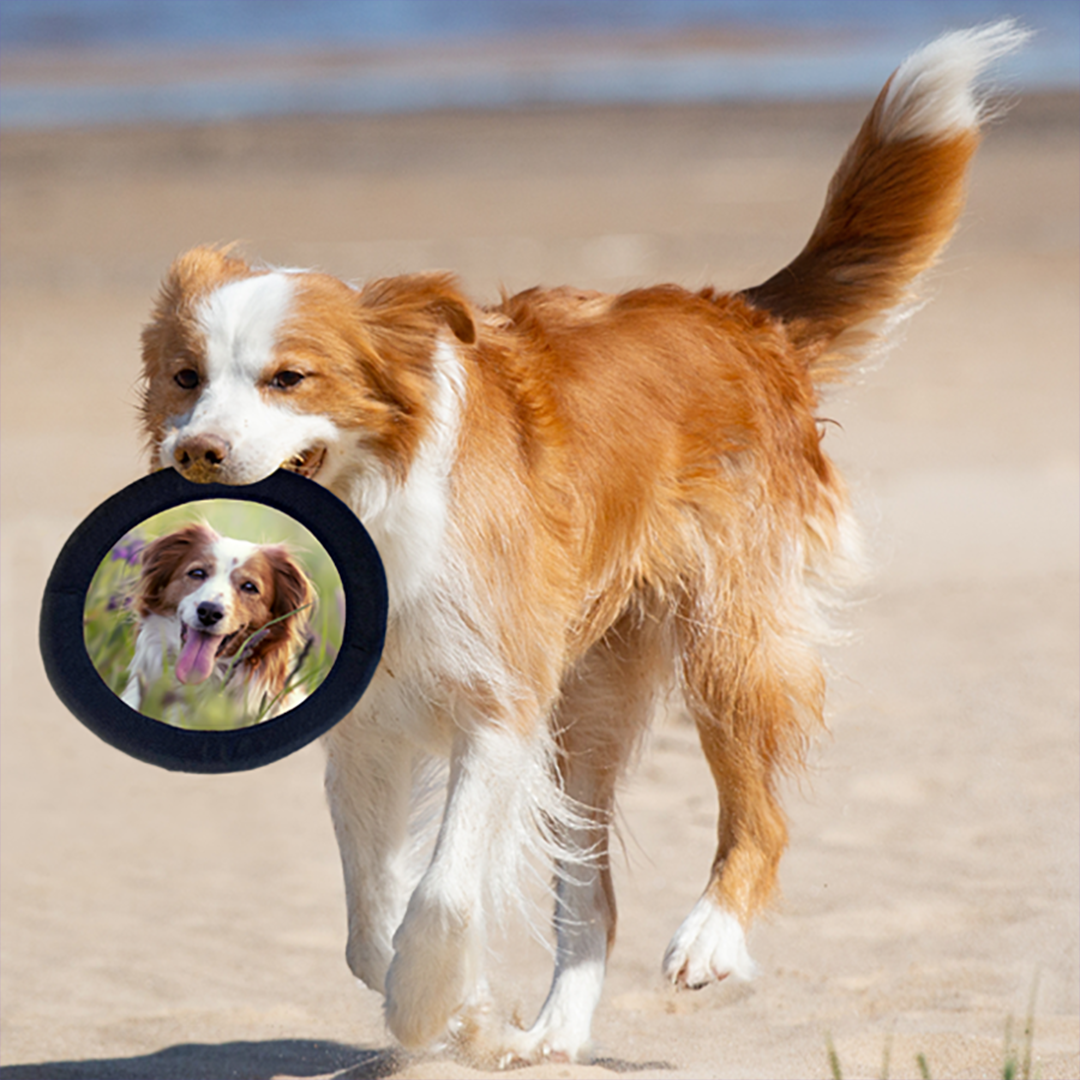 Custom FotoFrisby® Dog Toy – Personalized with Your Pet’s Photo