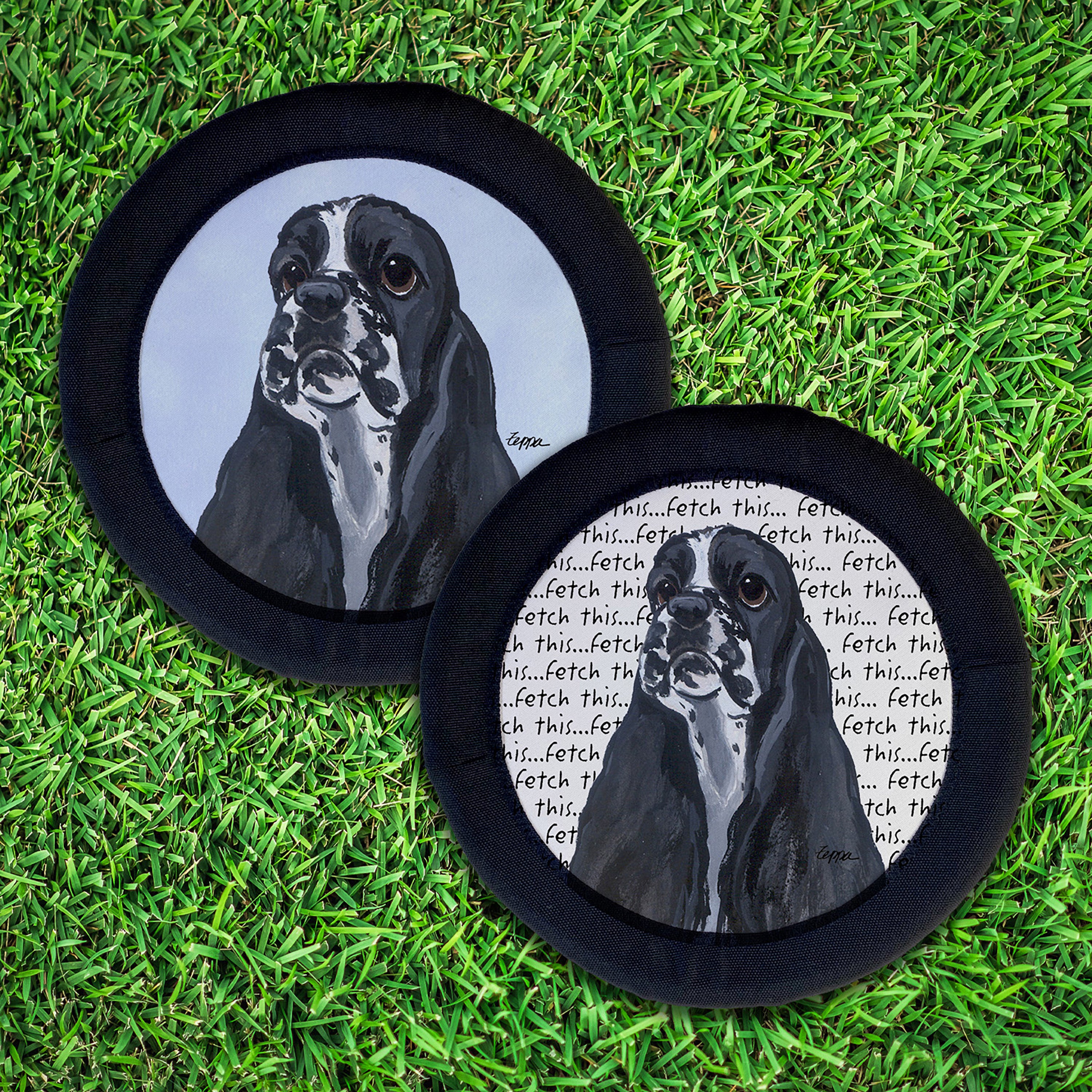 American Cocker Spaniel FotoFrisby