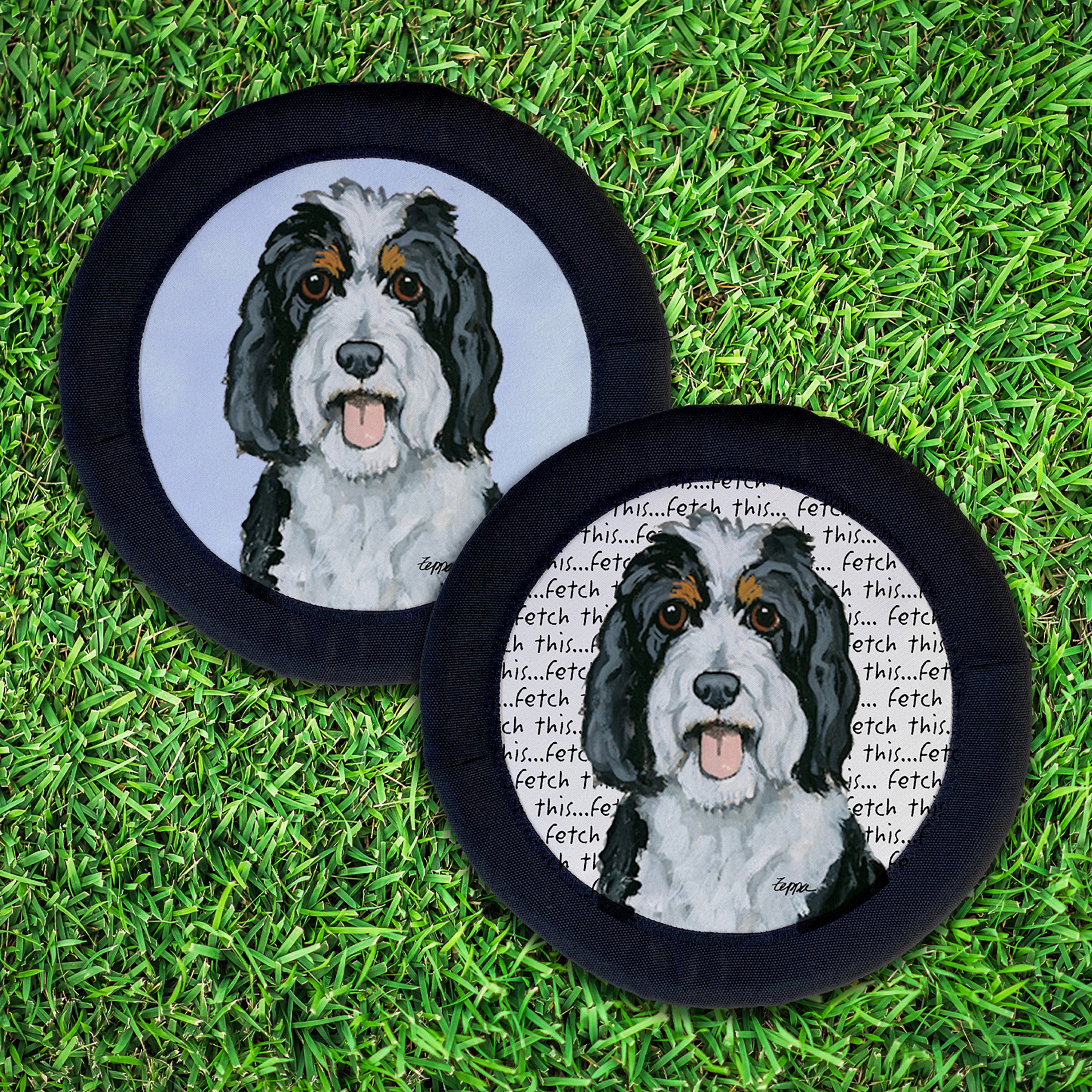 Bernedoodle FotoFrisby