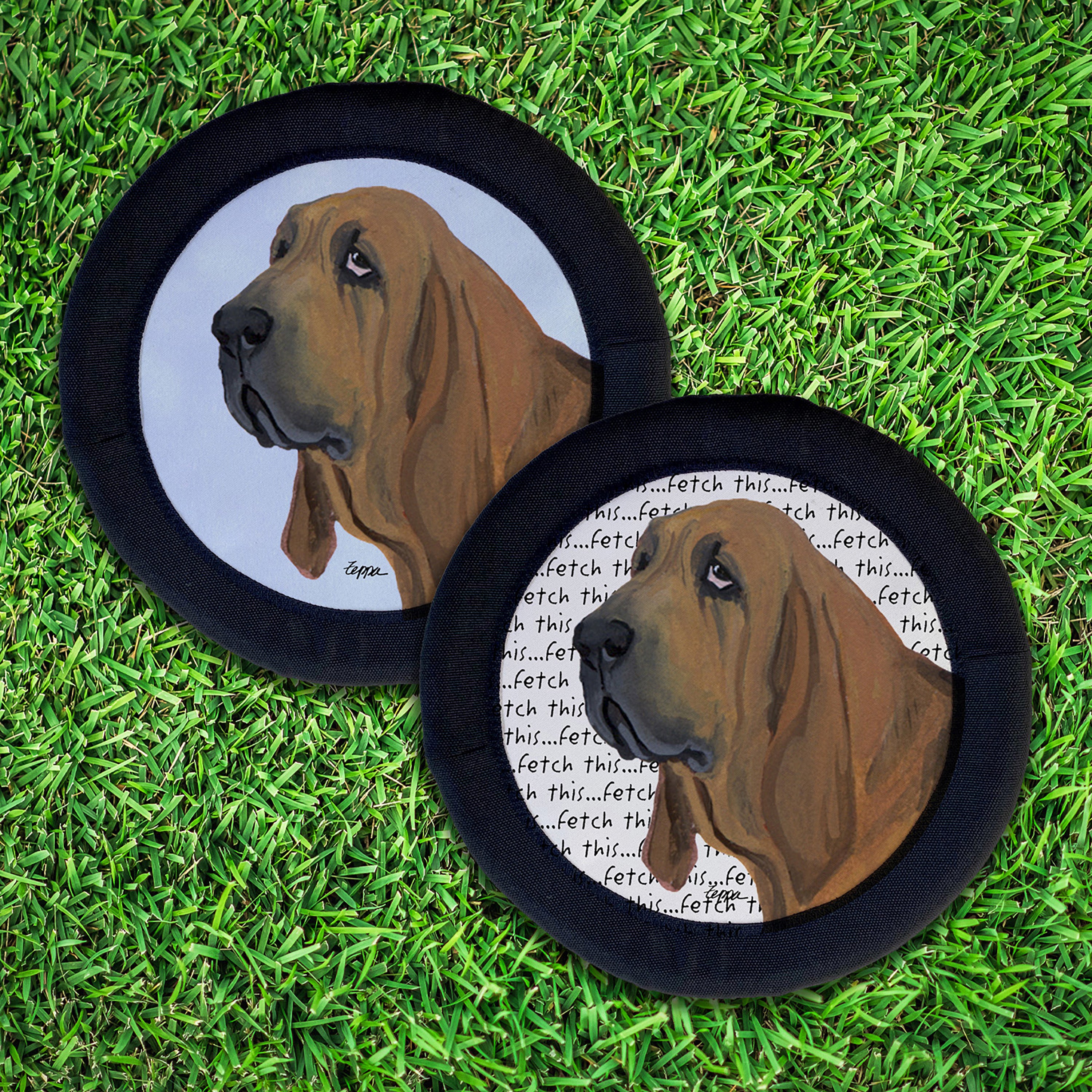 Bloodhound FotoFrisby