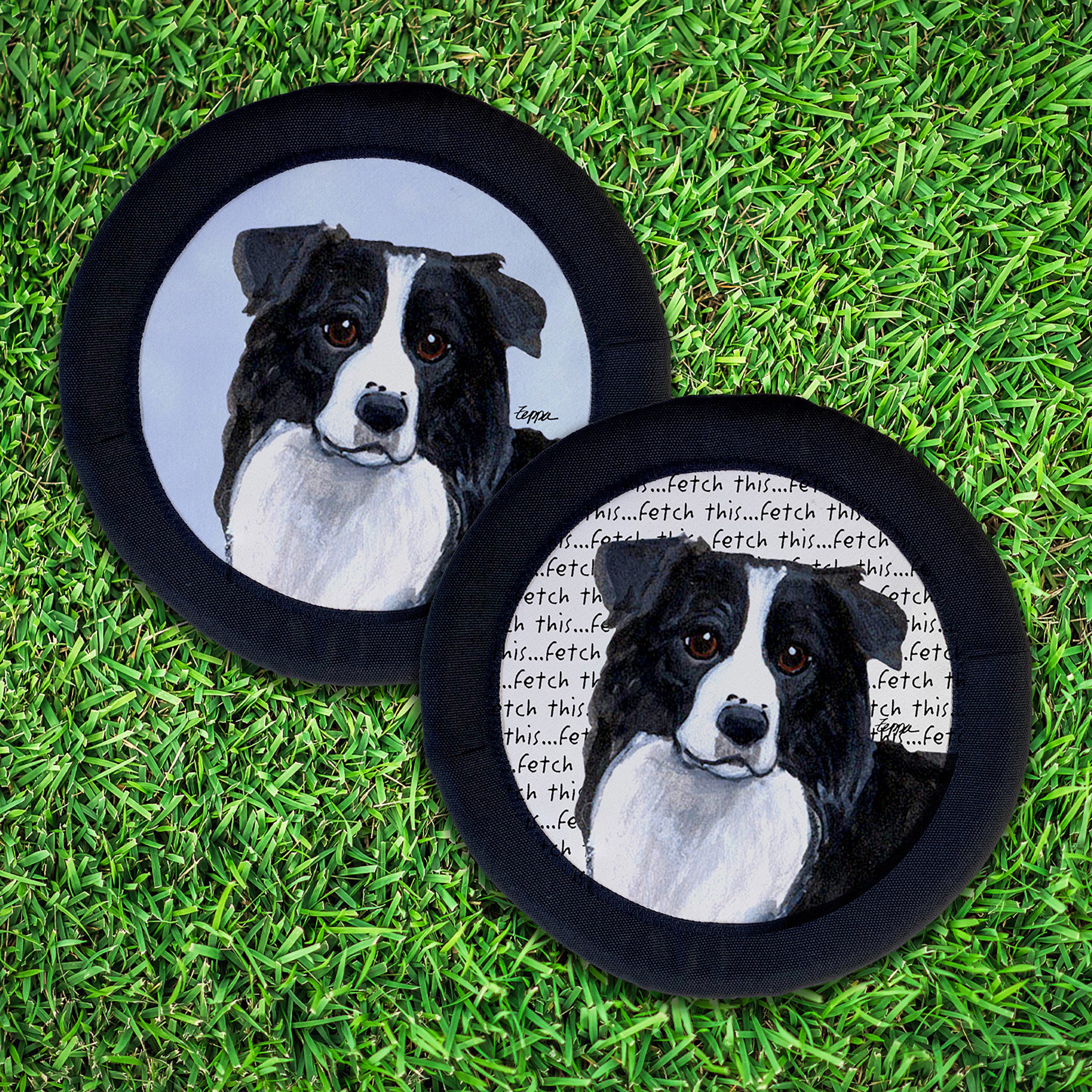 Border Collie FotoFrisby