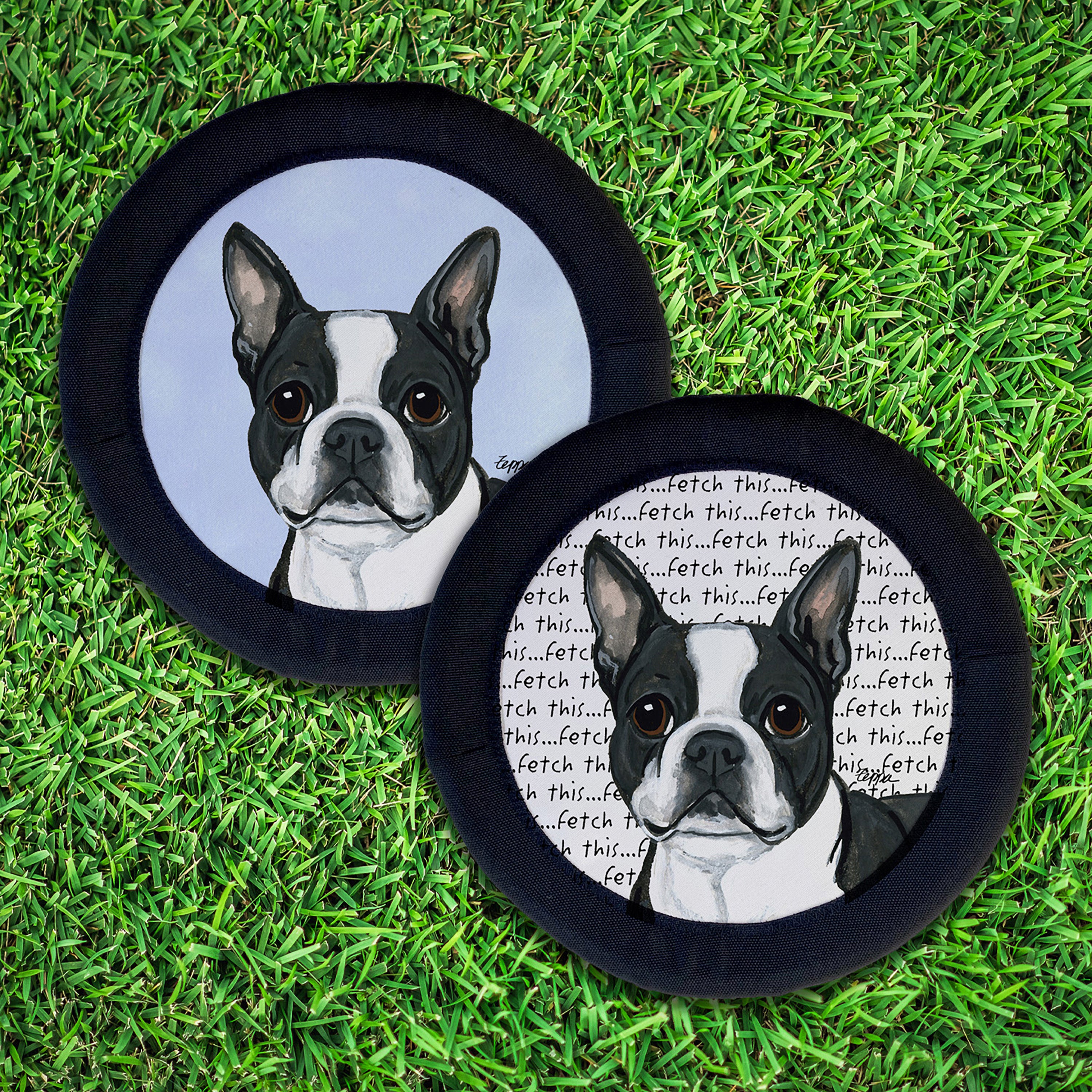 Boston Terrier Lying FotoFrisby