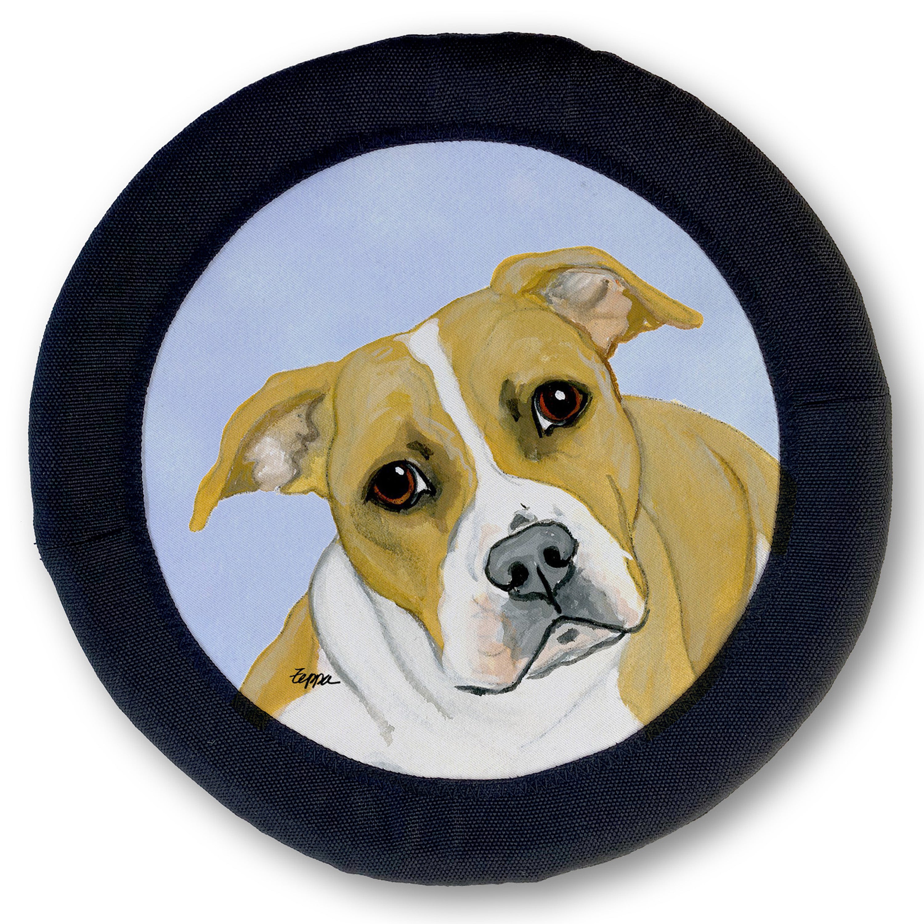 American Pit Bull FotoFrisby