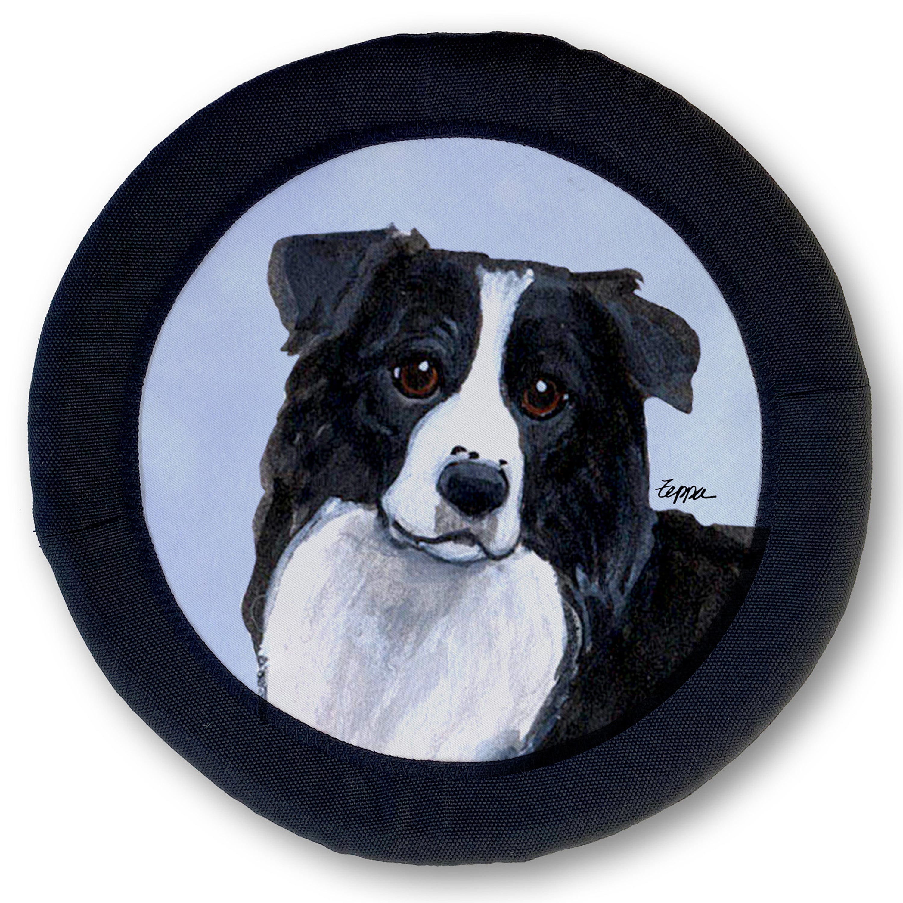 Border Collie FotoFrisby