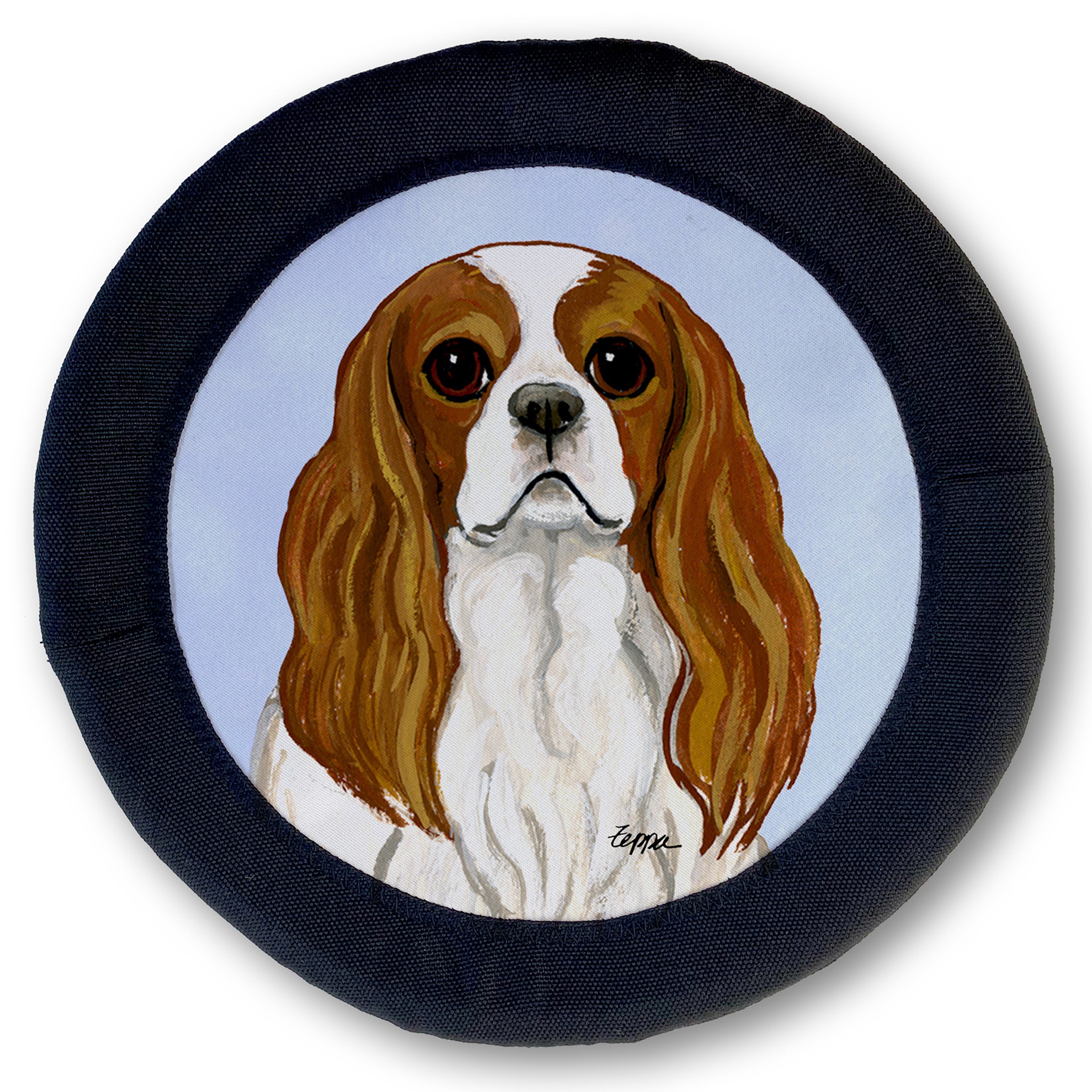 Cavalier King Charles Spaniel FotoFrisby