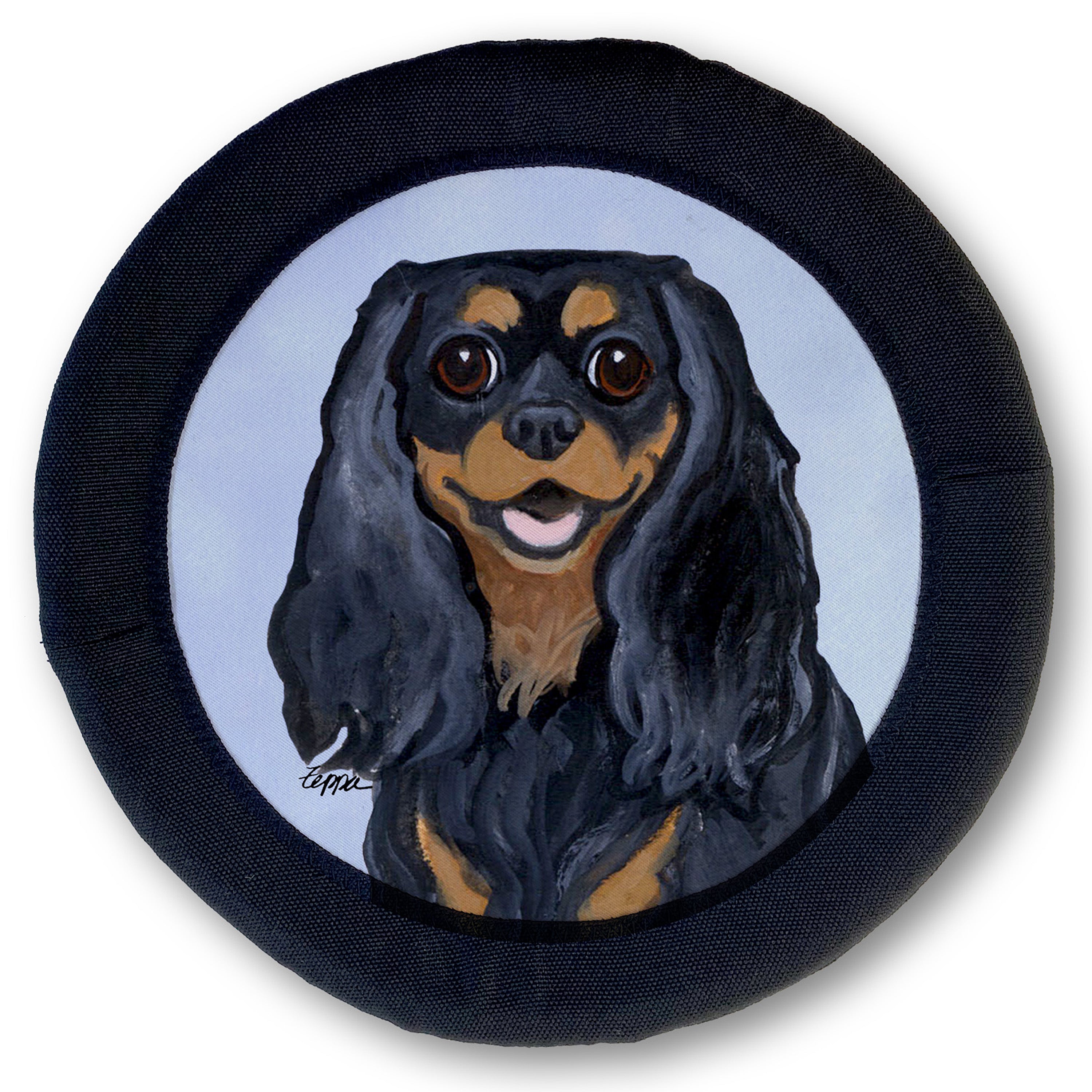 Cavalier King Charles Spaniel FotoFrisby