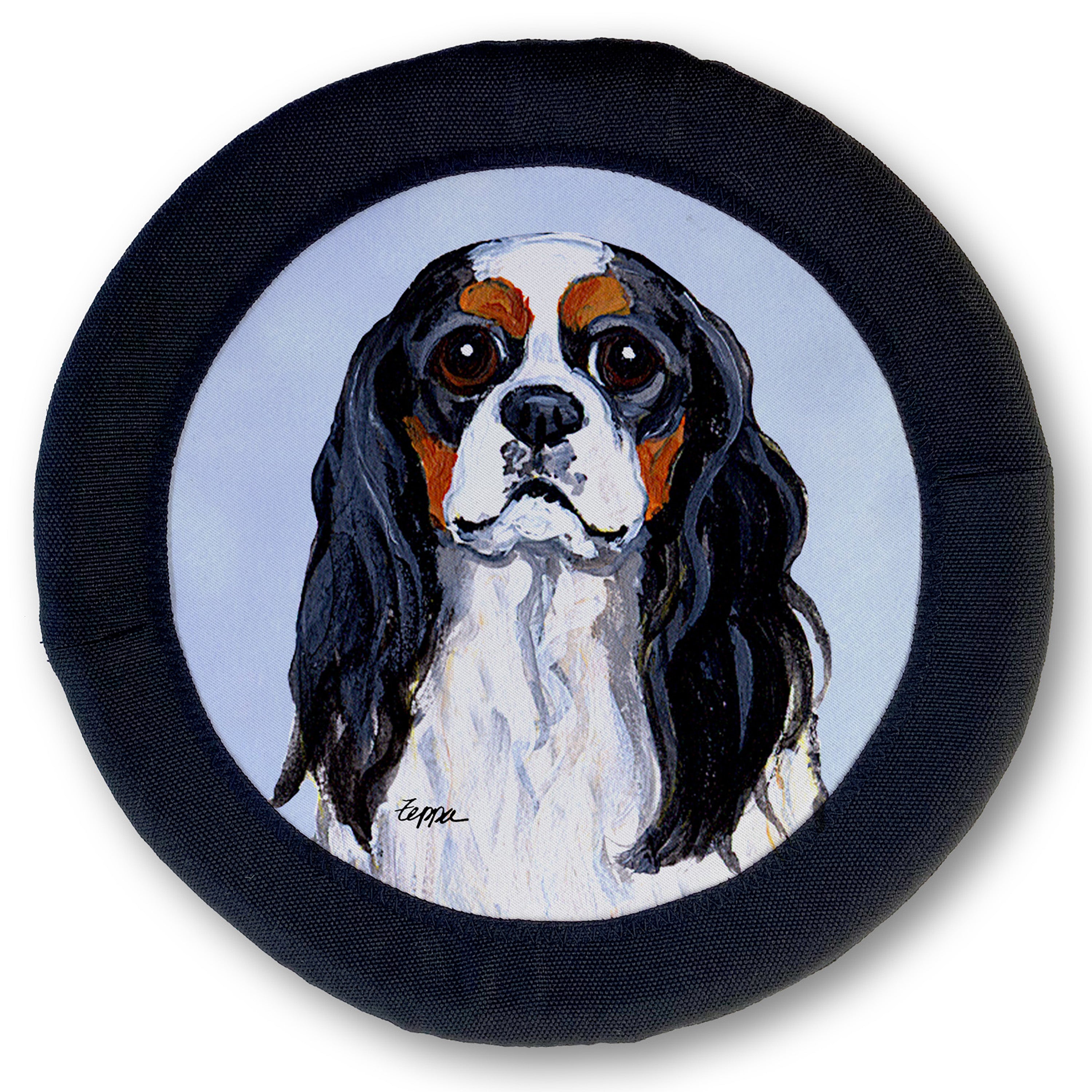 Cavalier King Charles Spaniel FotoFrisby