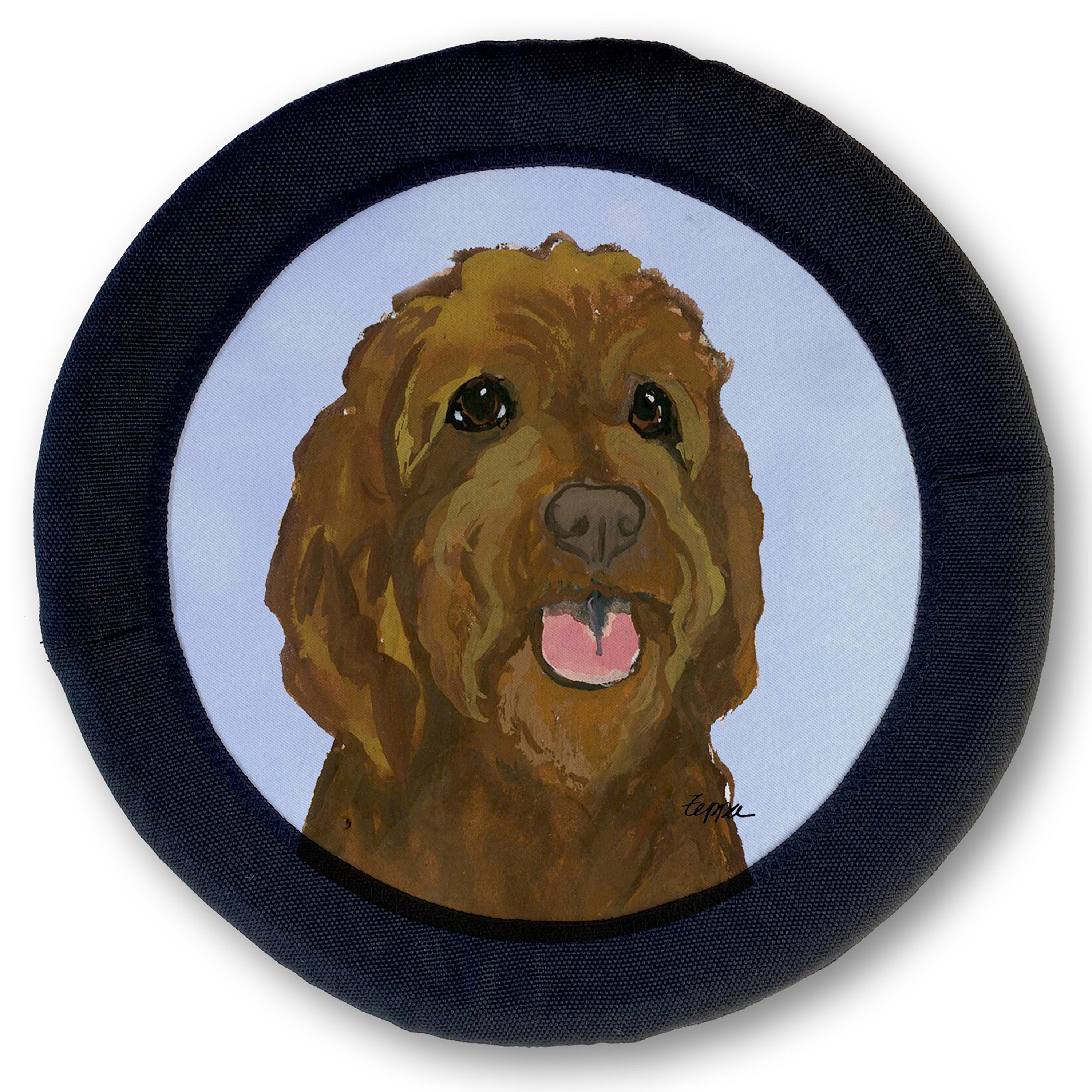 Golden-Labra Doodle FotoFrisby