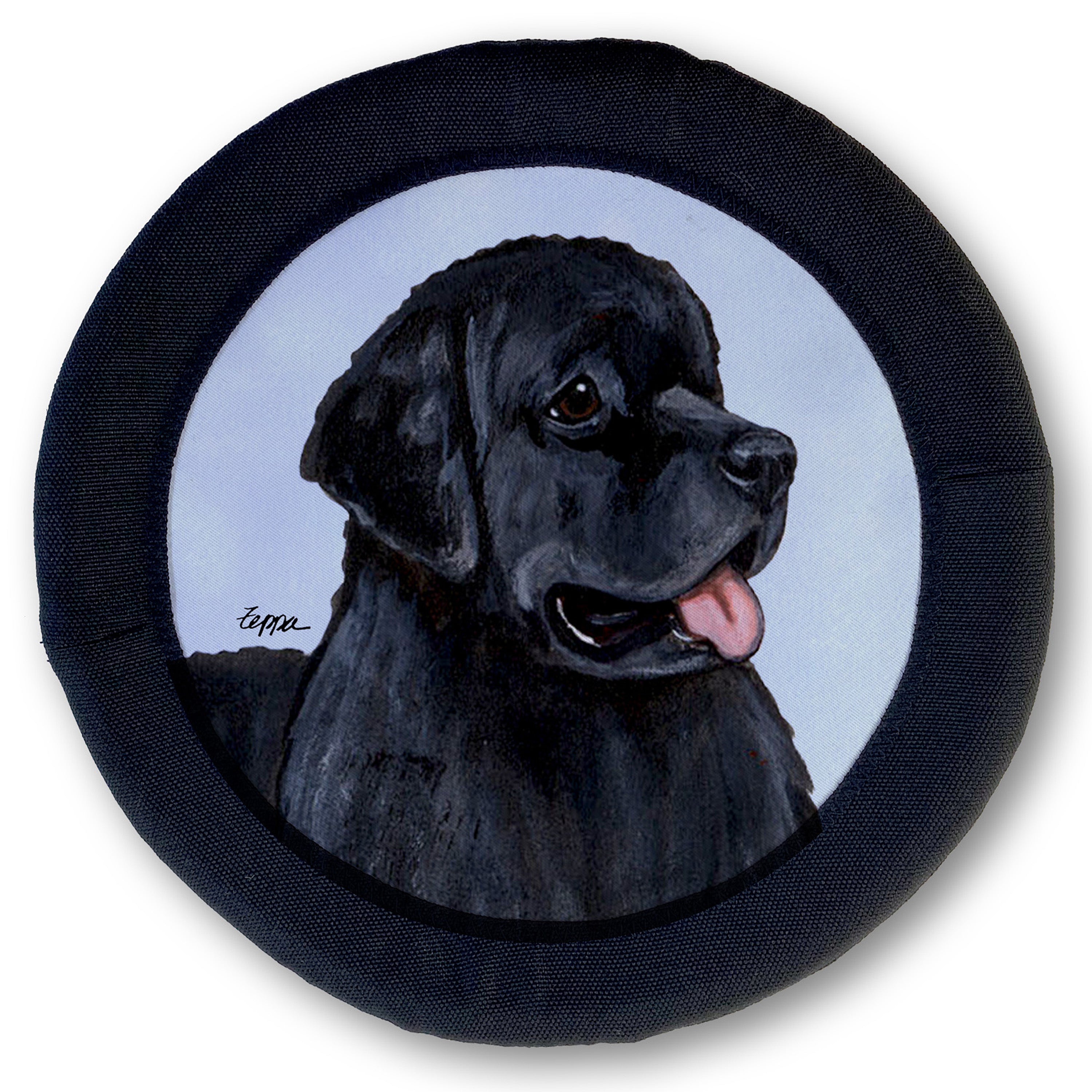 Newfoundland FotoFrisby