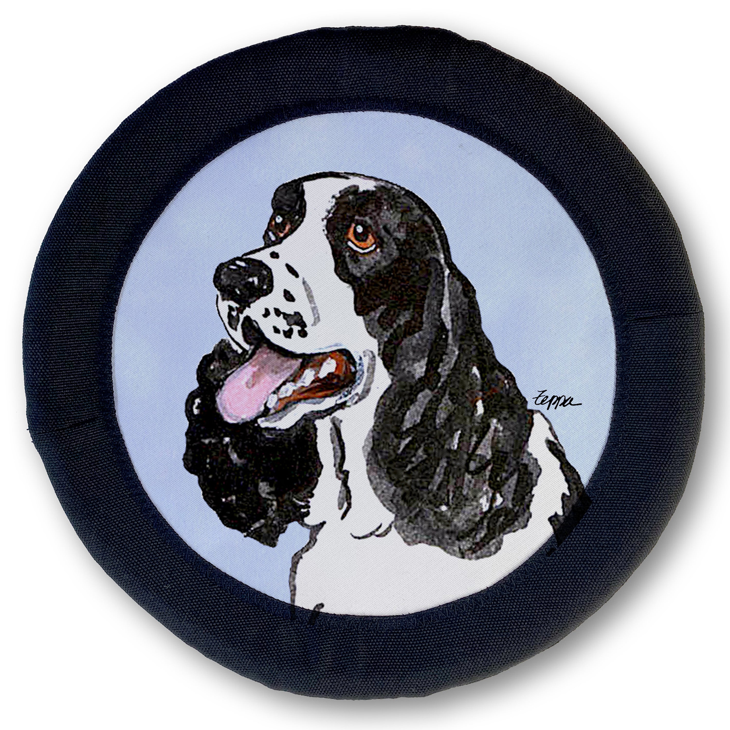 Springer Spaniel FotoFrisby