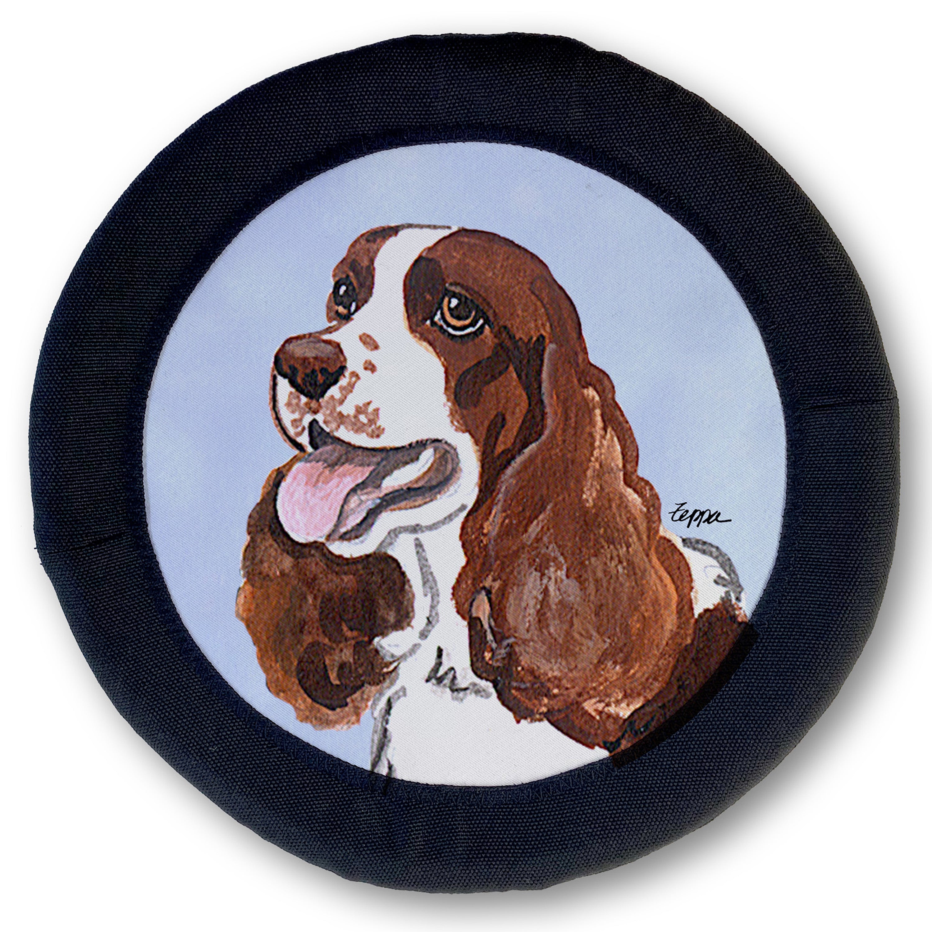 Springer Spaniel FotoFrisby