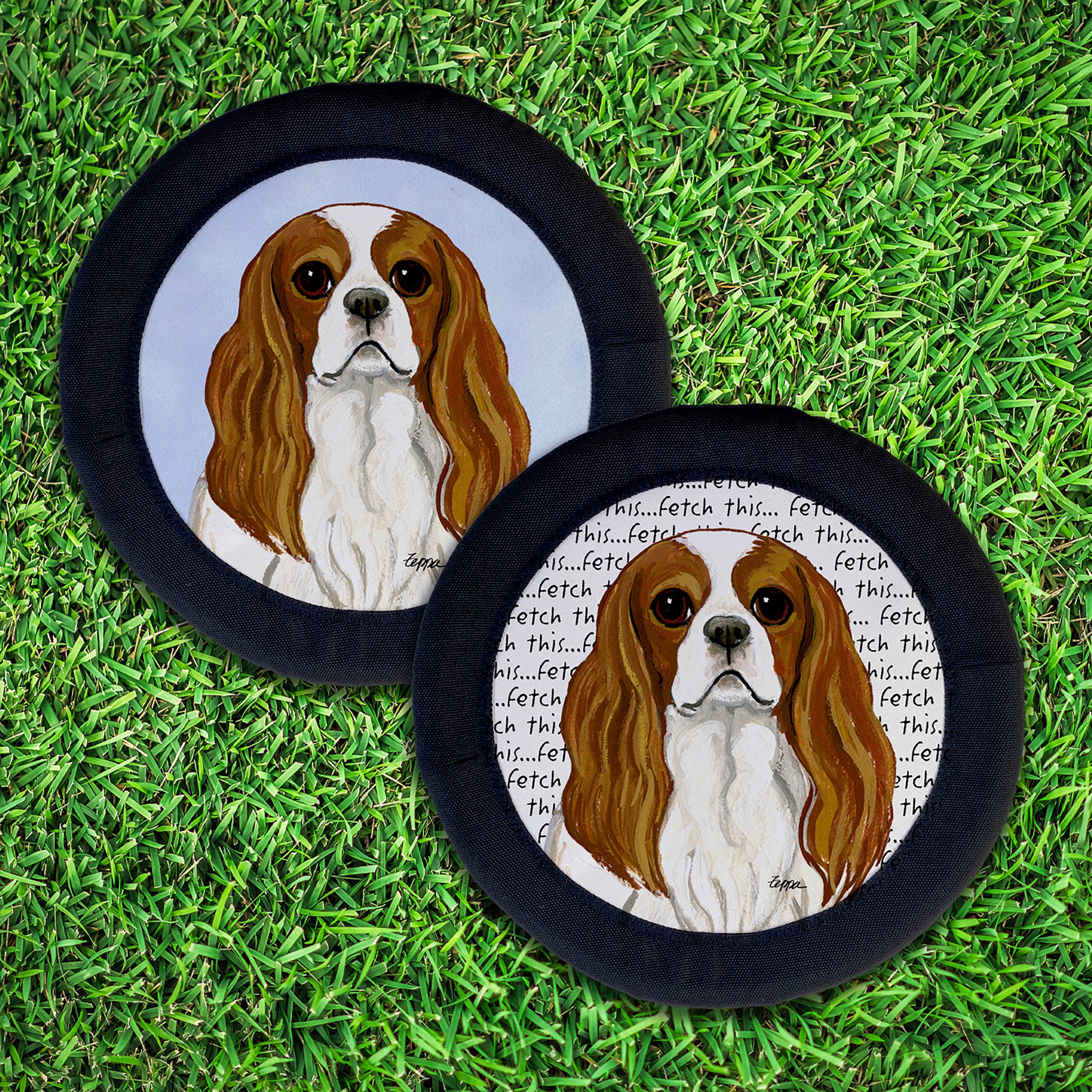 Cavalier King Charles Spaniel FotoFrisby