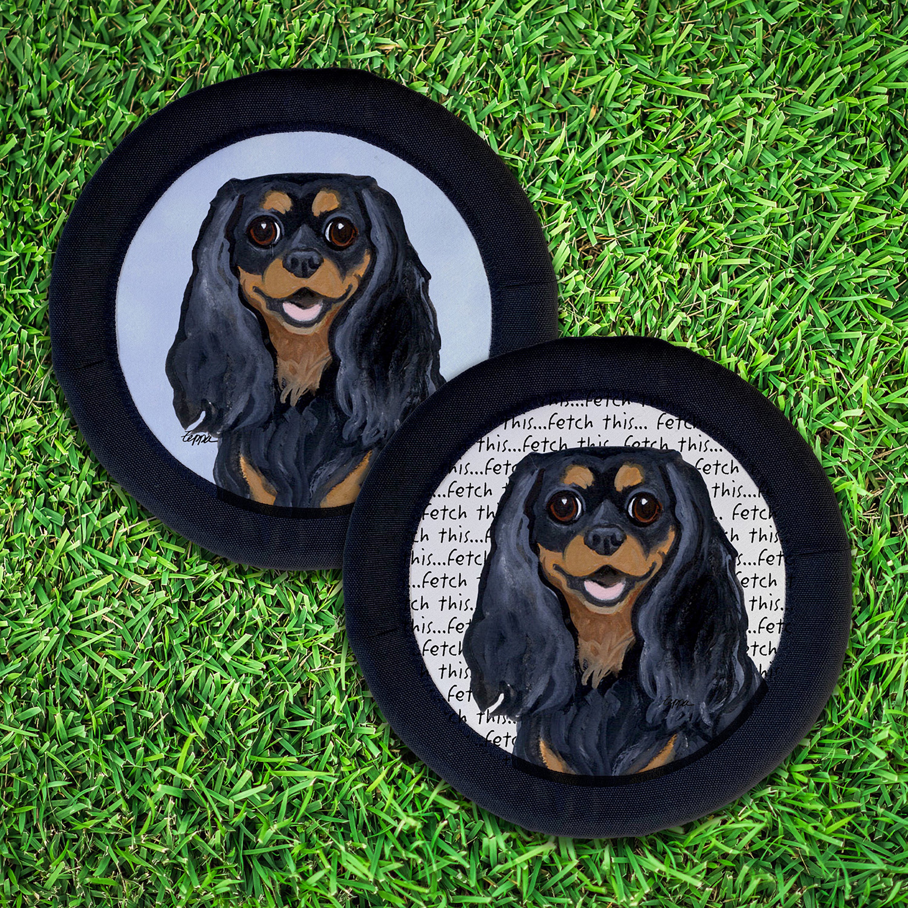 Cavalier King Charles Spaniel FotoFrisby