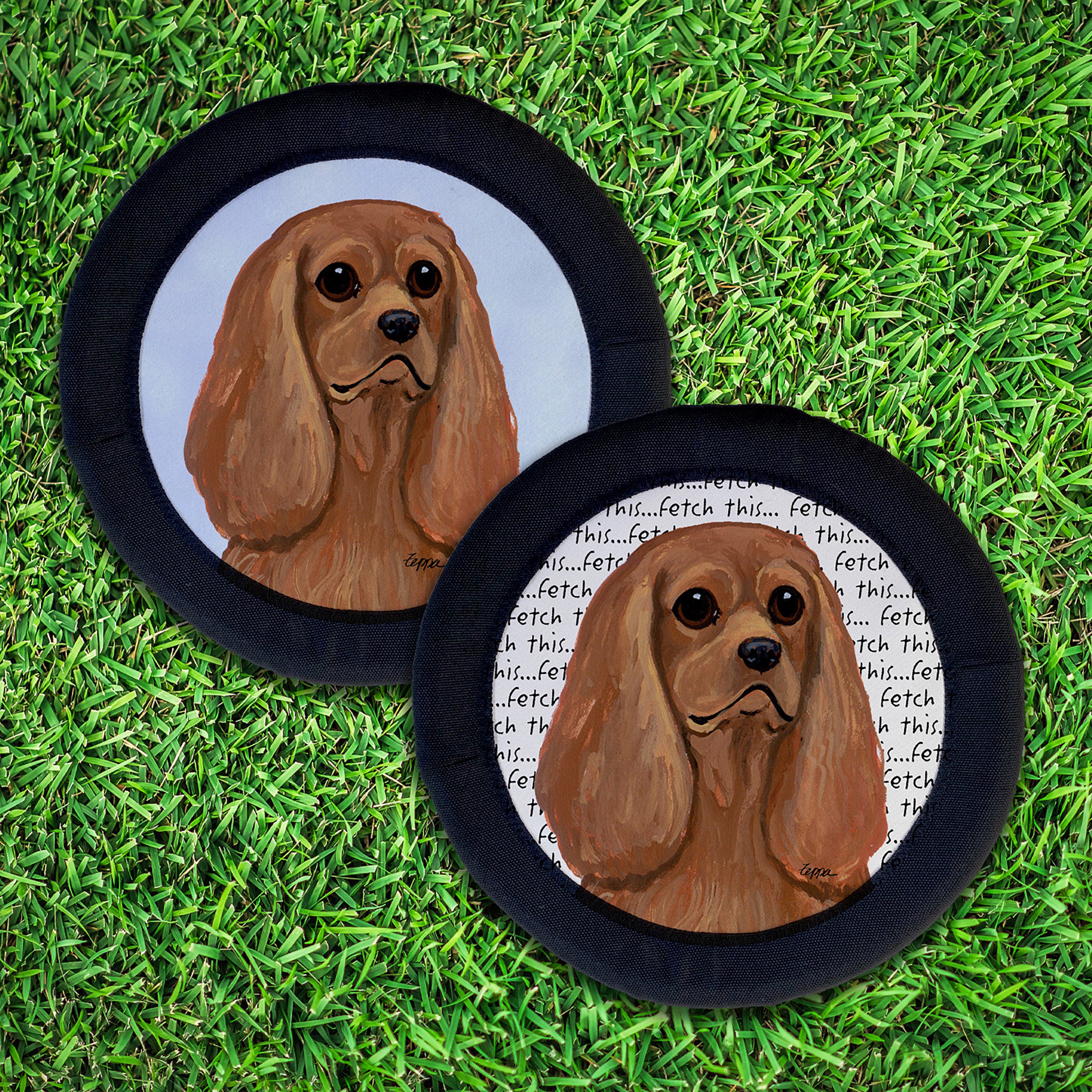 Cavalier King Charles Spaniel FotoFrisby