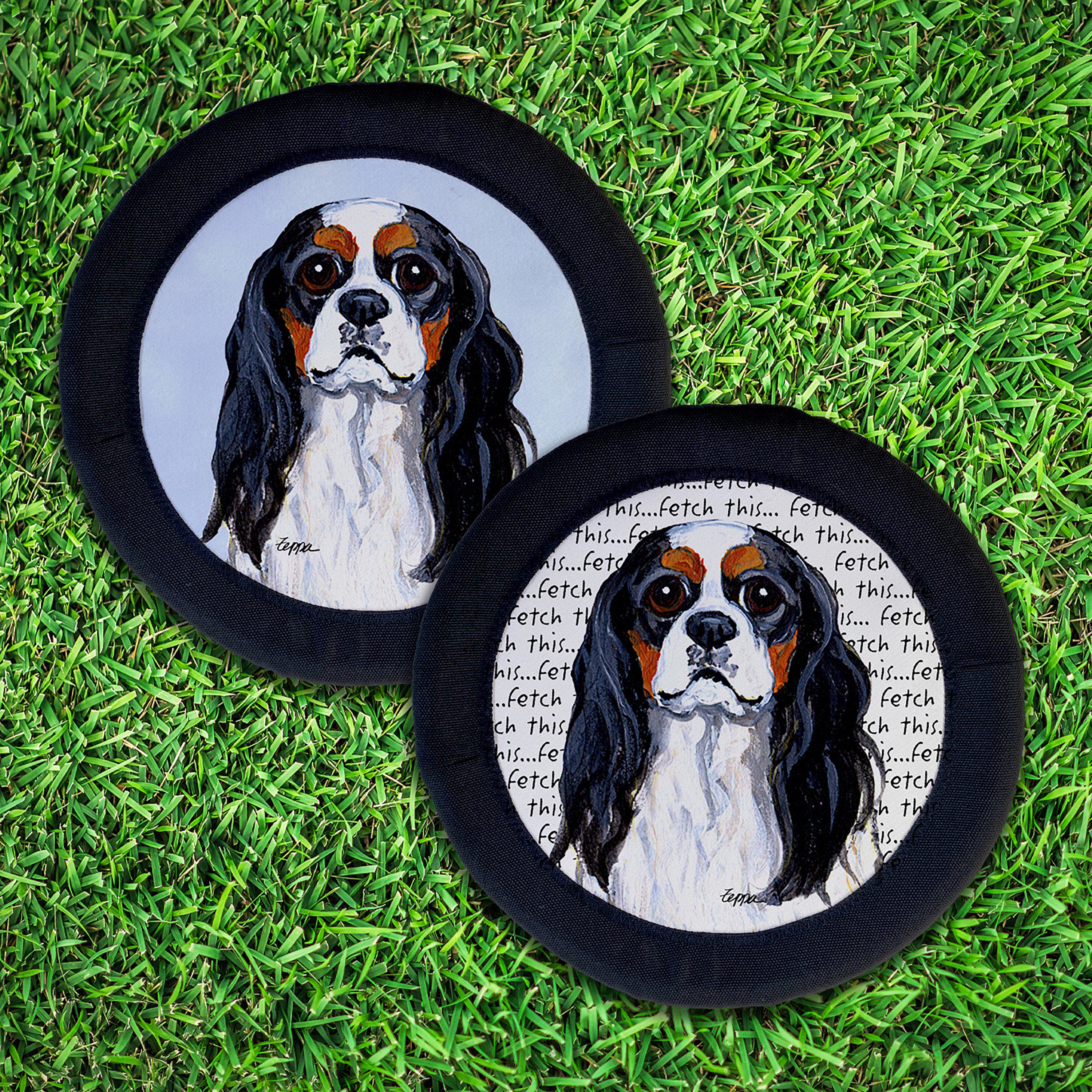 Cavalier King Charles Spaniel FotoFrisby