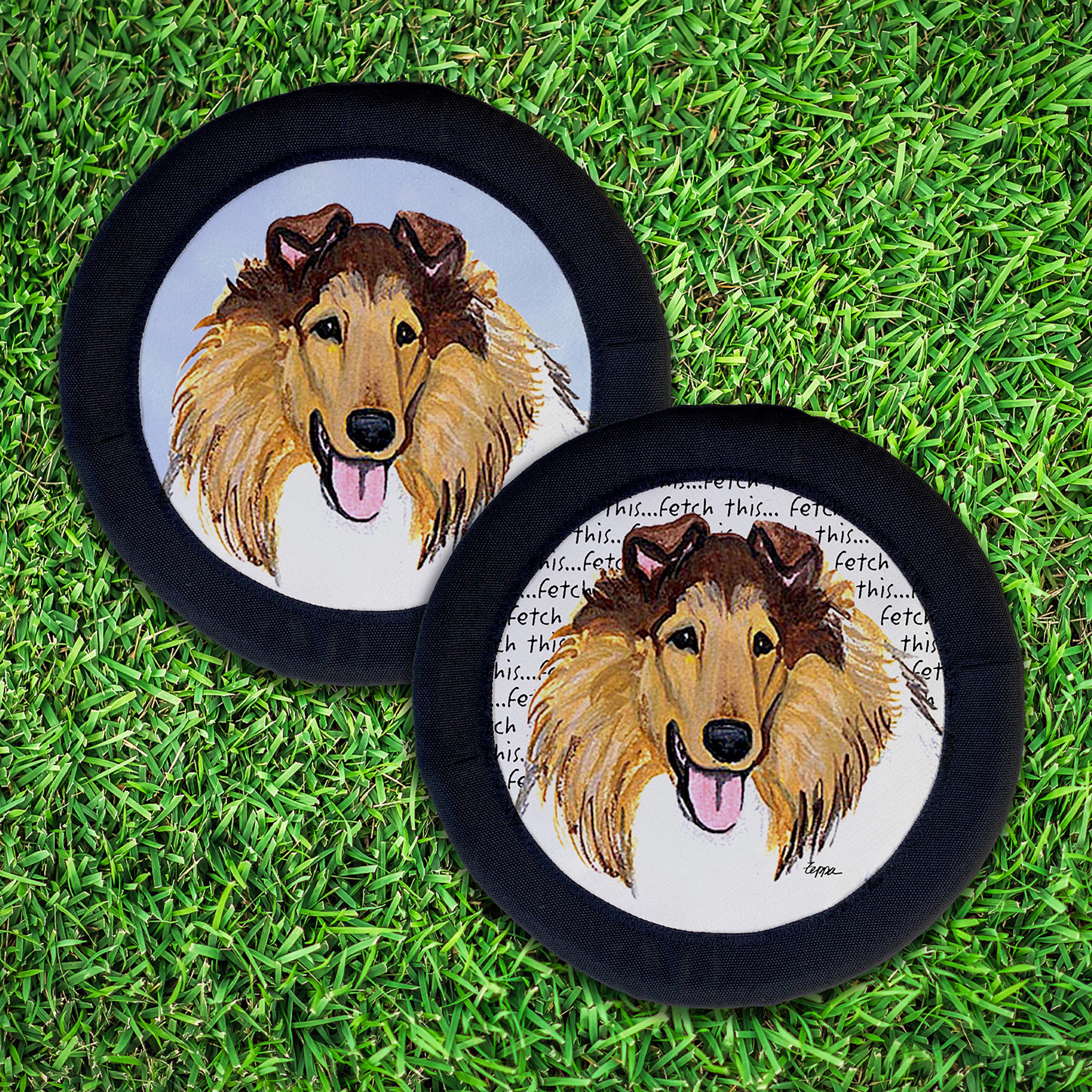 Collie FotoFrisby