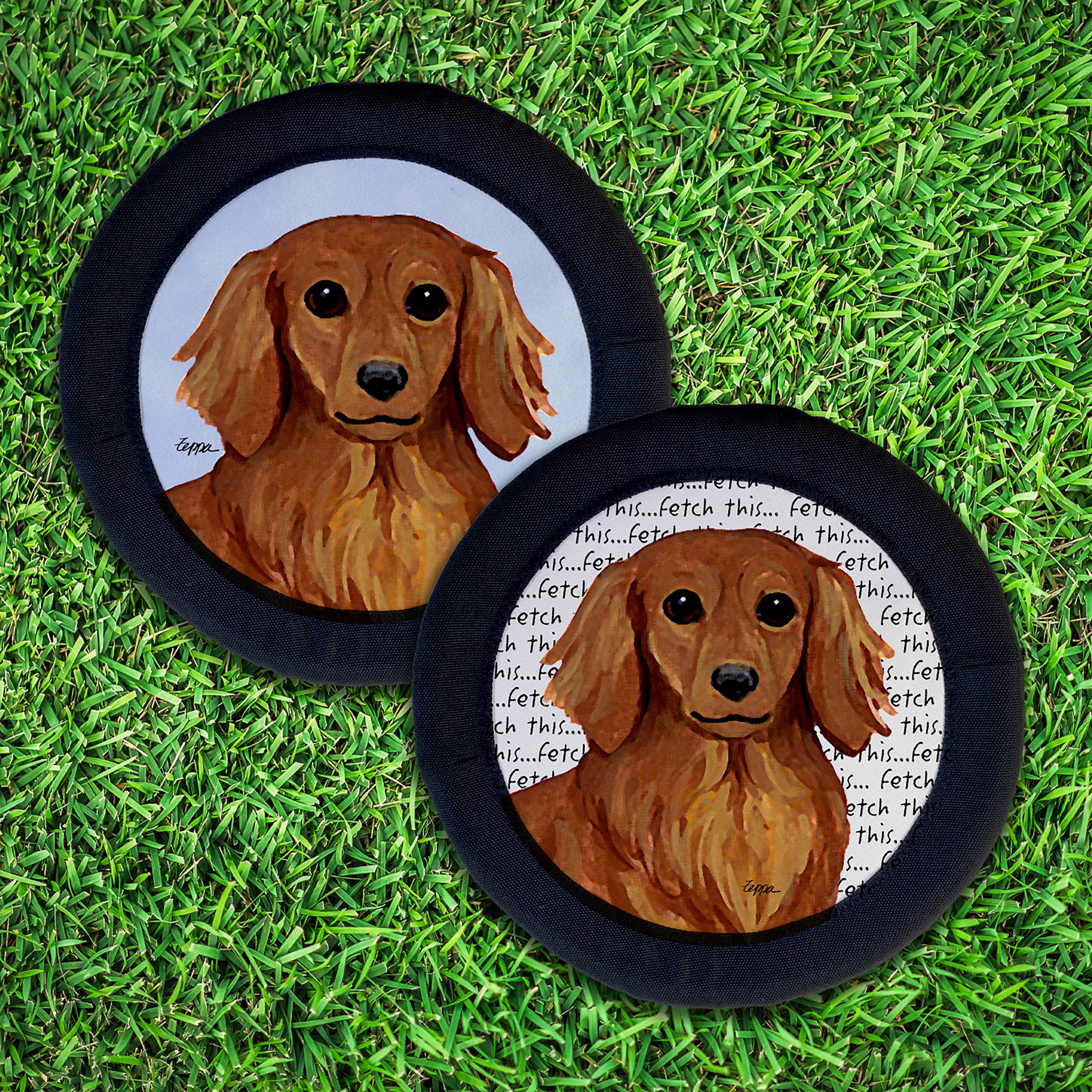 Dachshund FotoFrisby