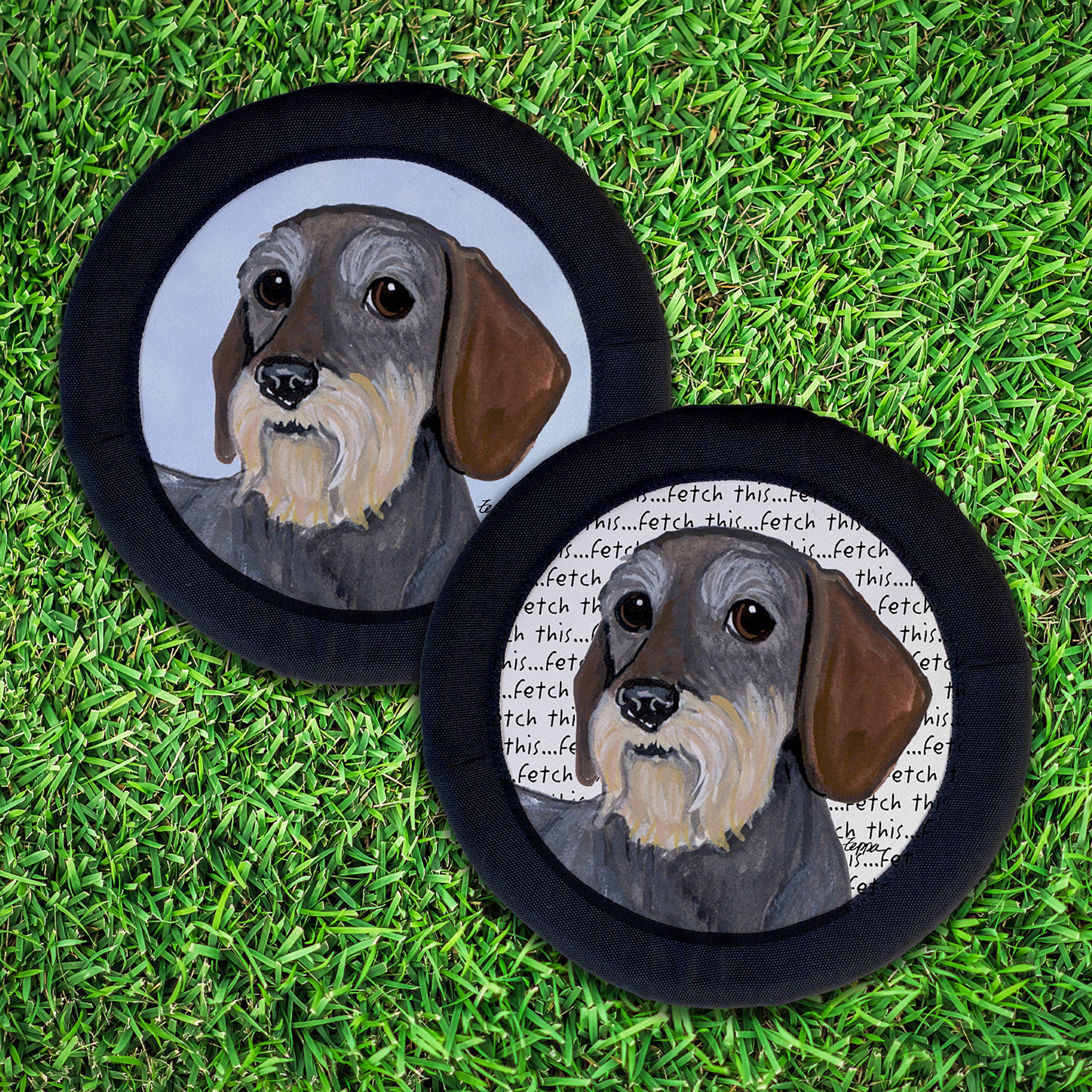 Dachshund FotoFrisby