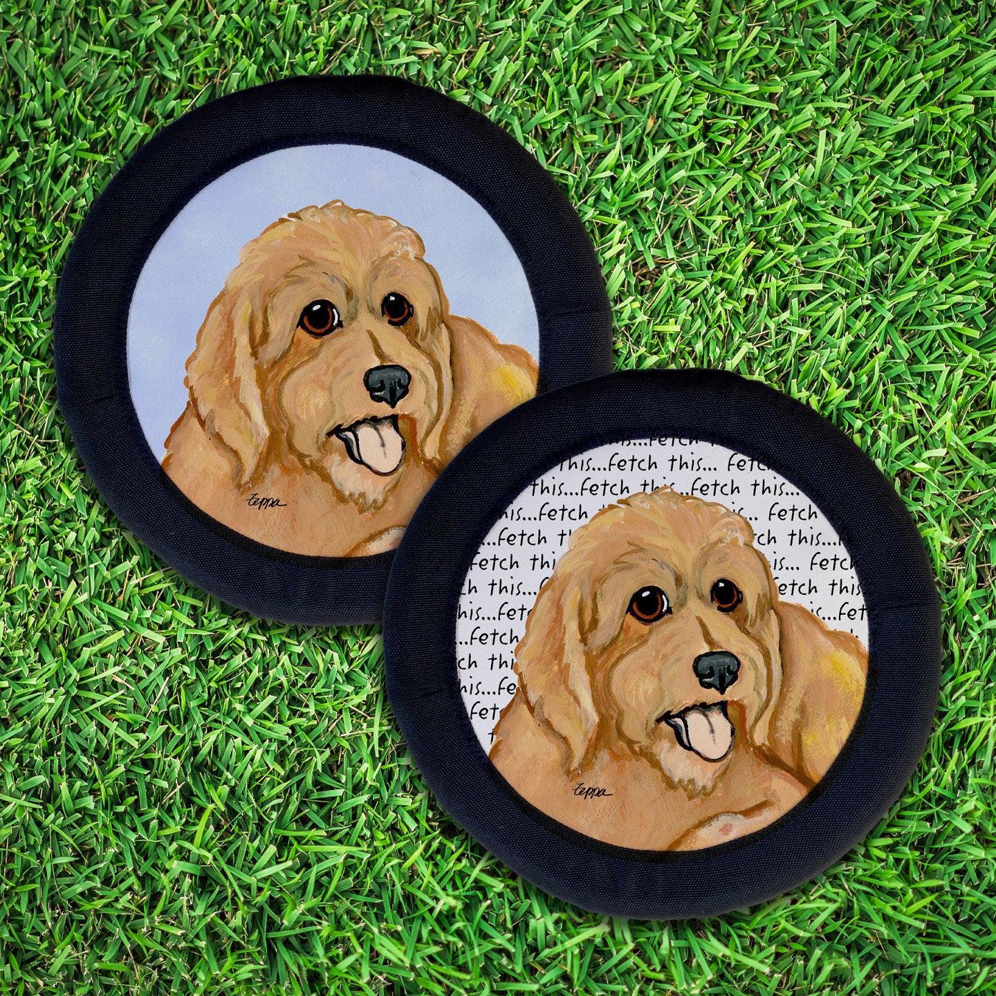 Golden-Labra Doodle FotoFrisby