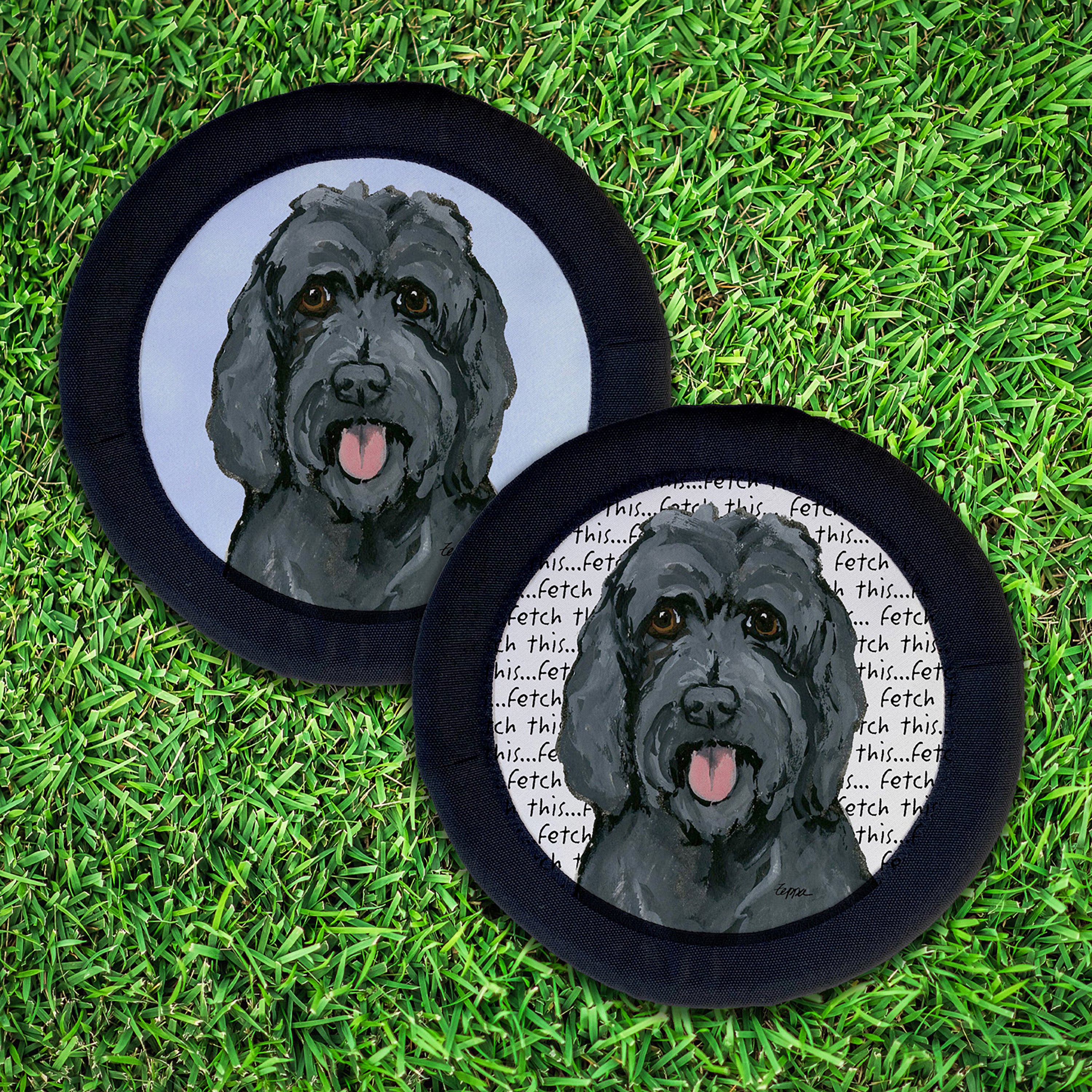 Golden-Labra Doodle FotoFrisby