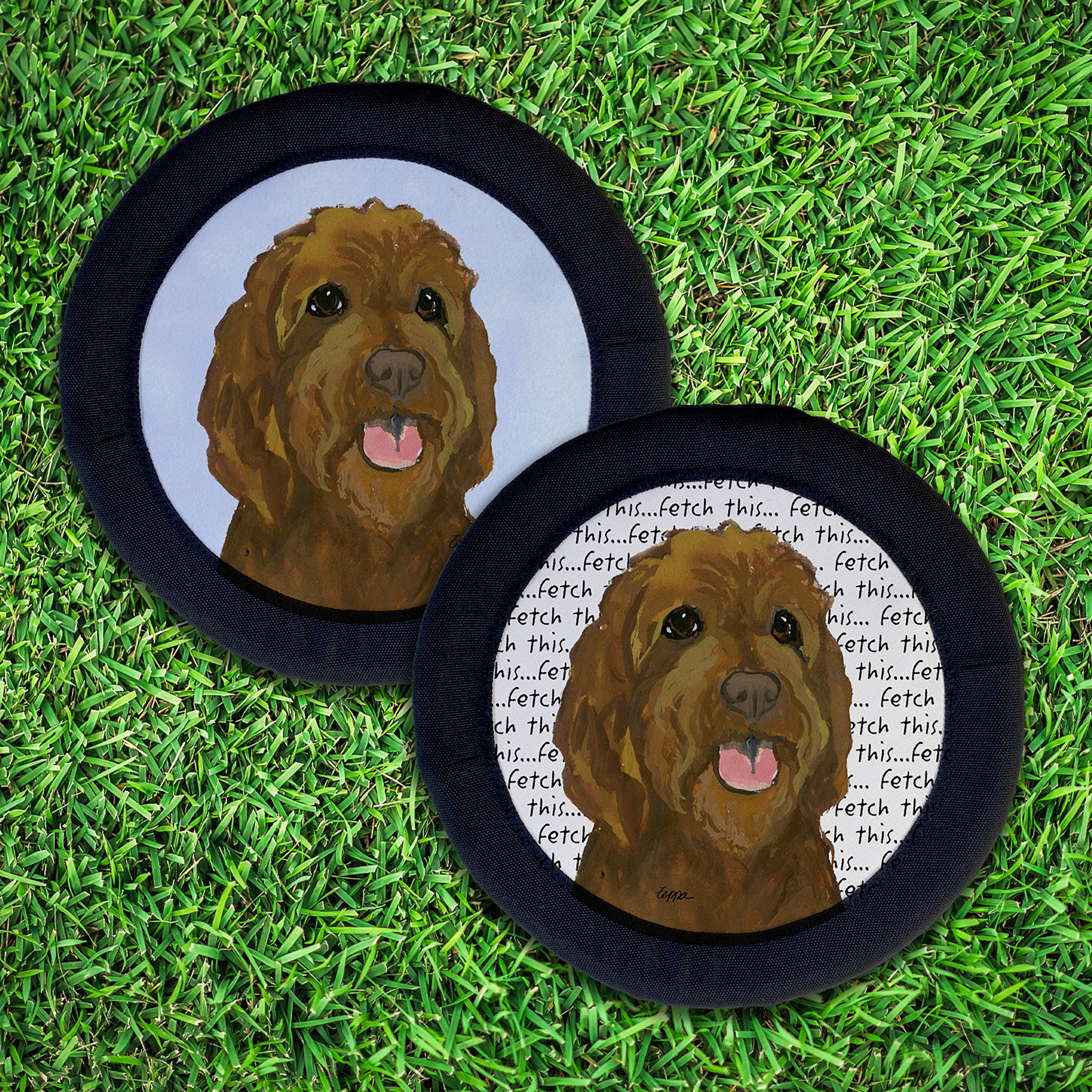 Golden-Labra Doodle FotoFrisby