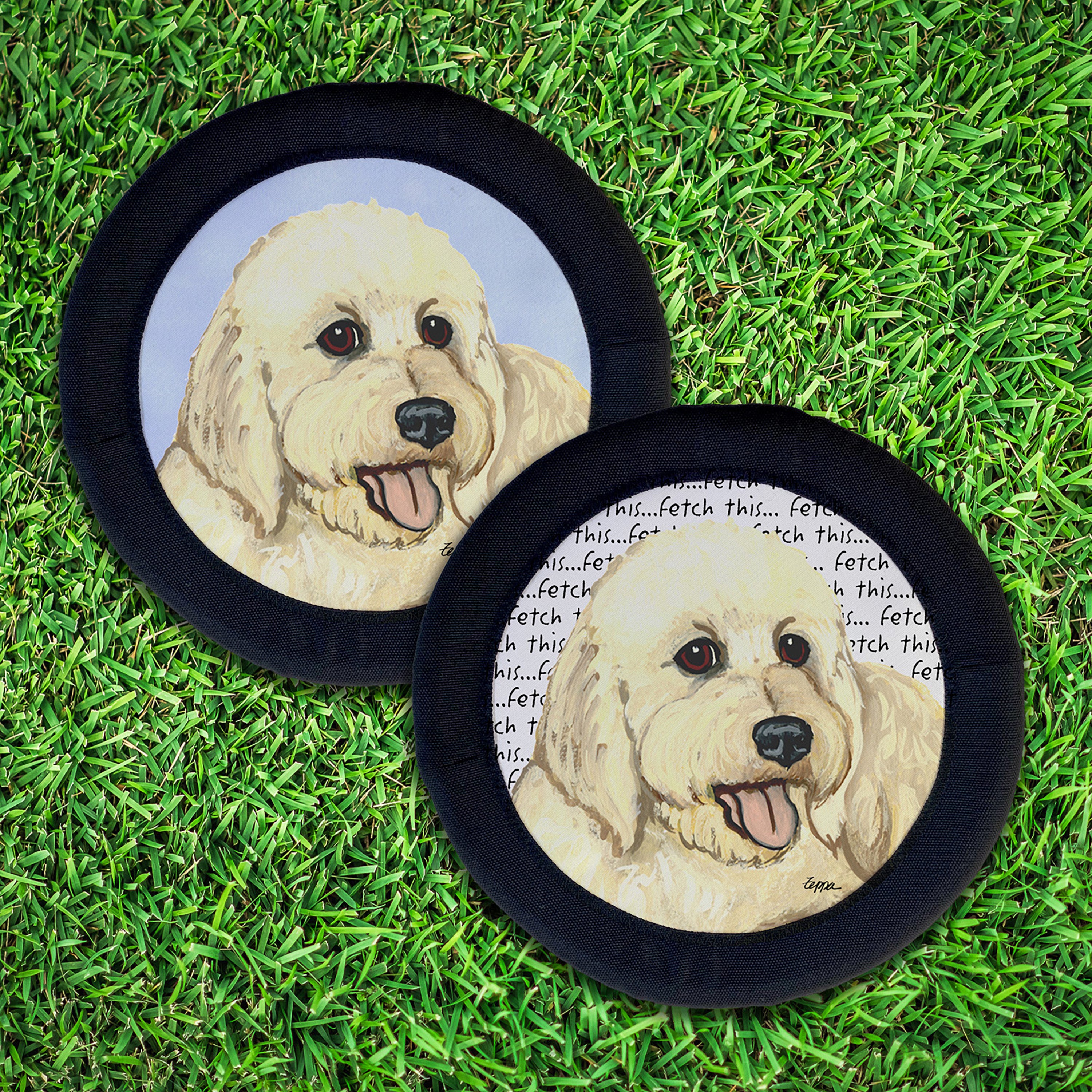 Golden-Labra Doodle FotoFrisby