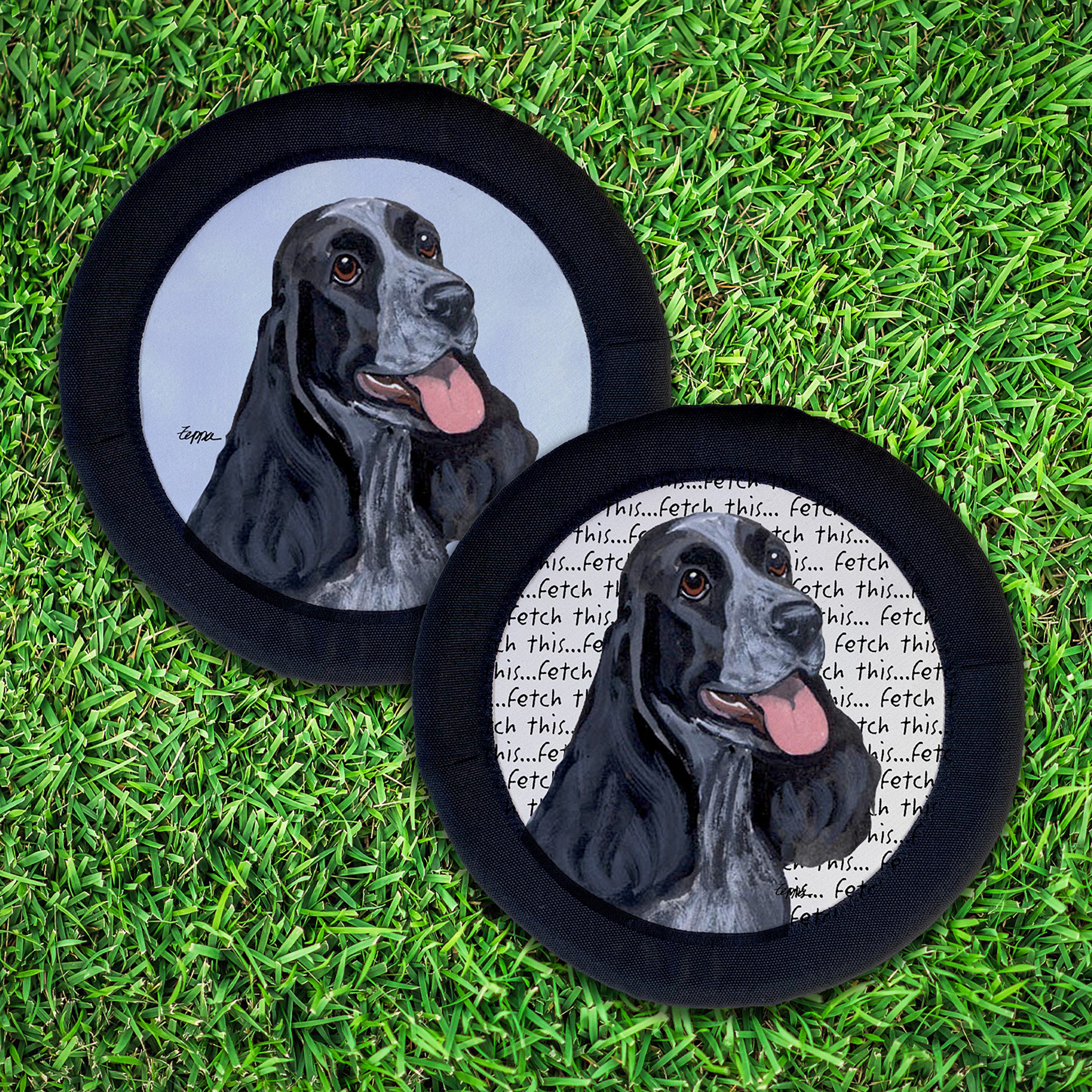 English Cocker Spaniel  FotoFrisby