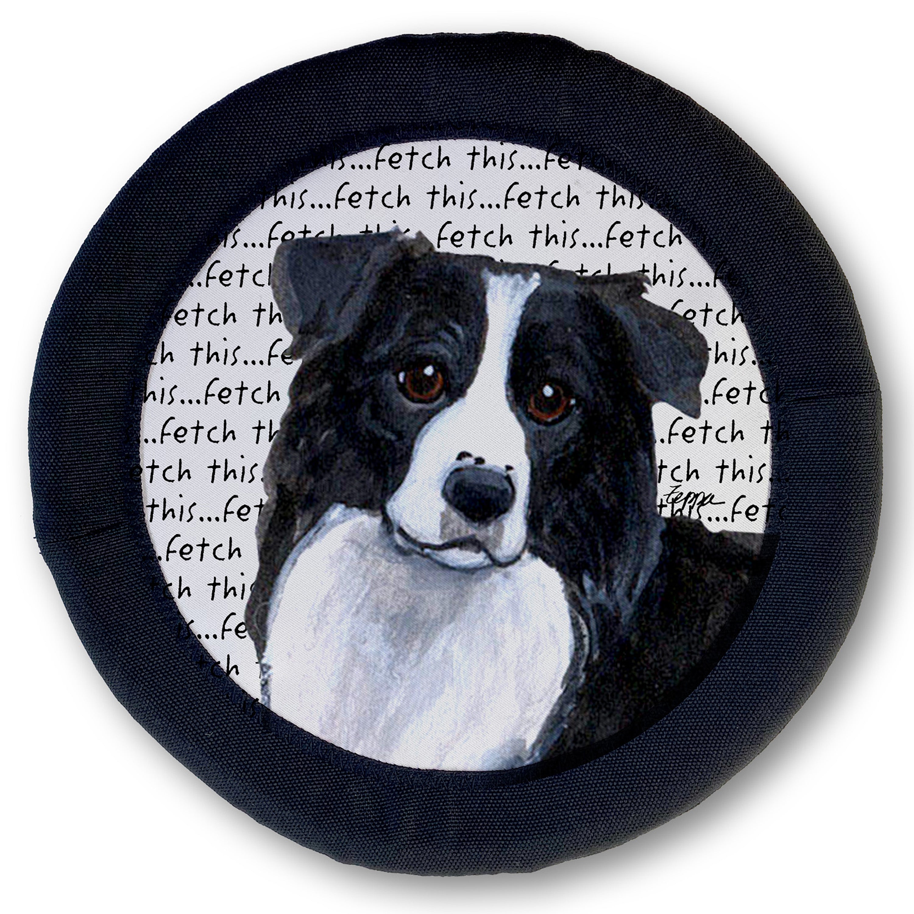 Border Collie FotoFrisby