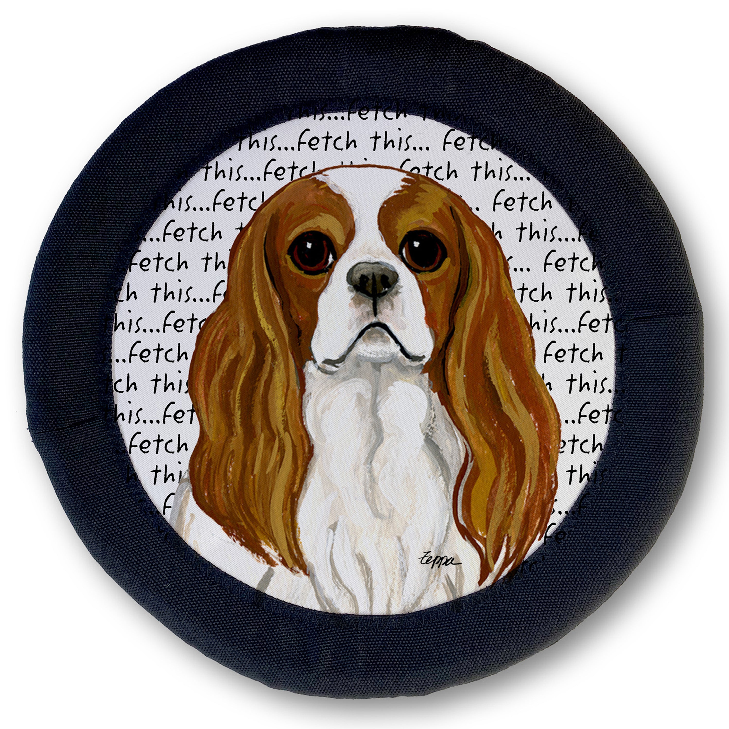 Cavalier King Charles Spaniel FotoFrisby