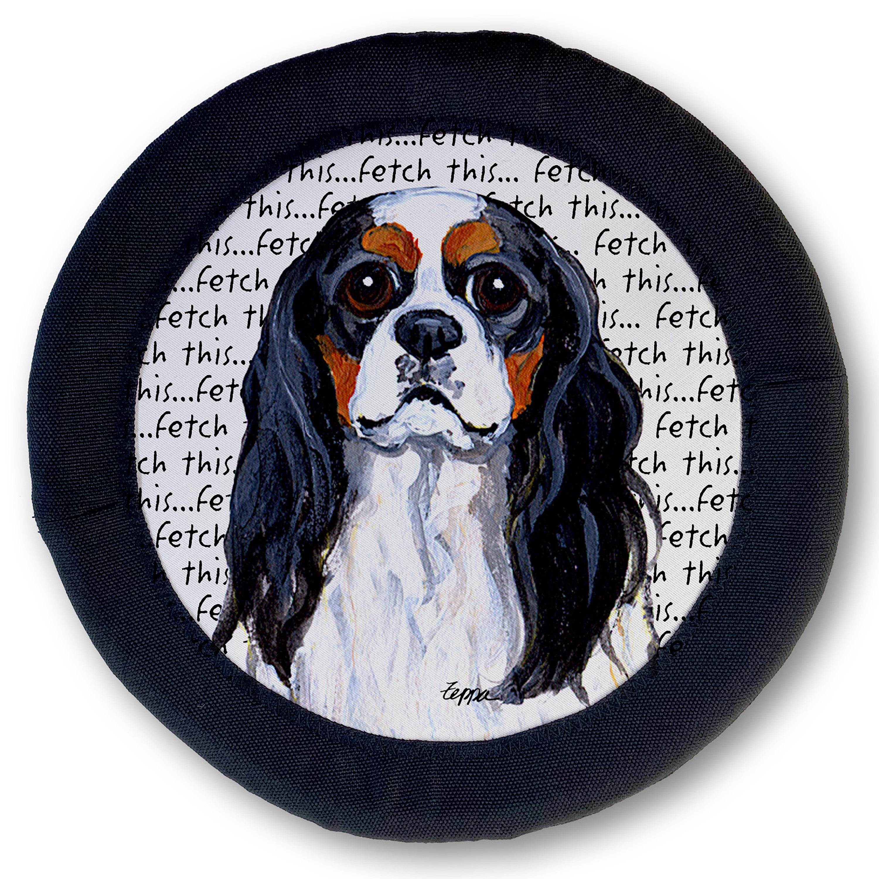 Cavalier King Charles Spaniel FotoFrisby