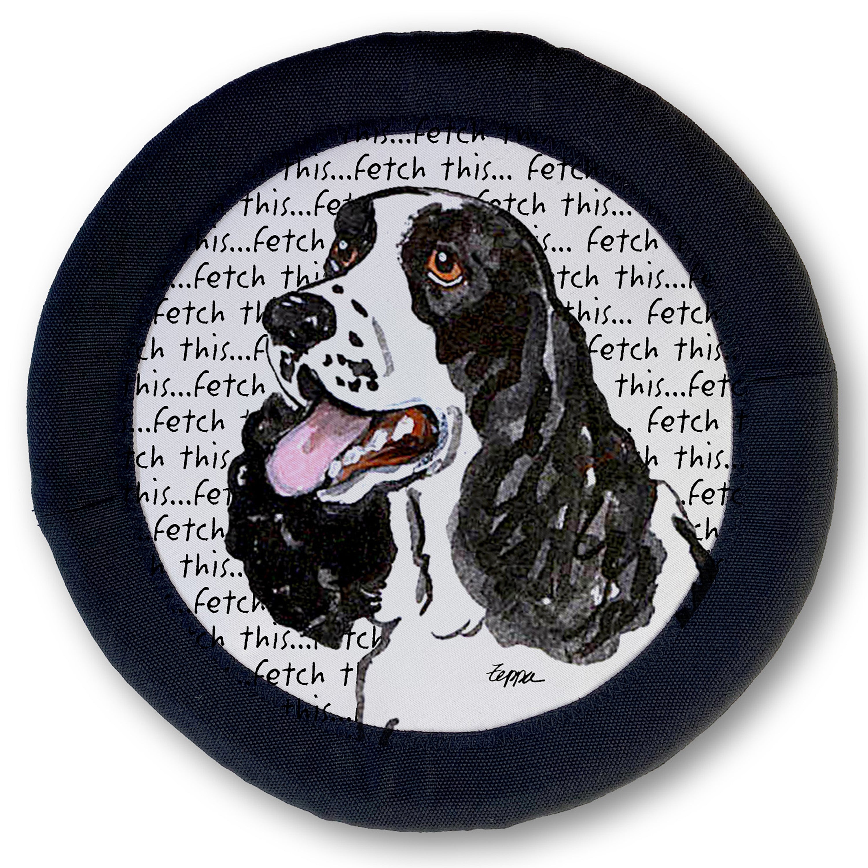 Springer Spaniel FotoFrisby