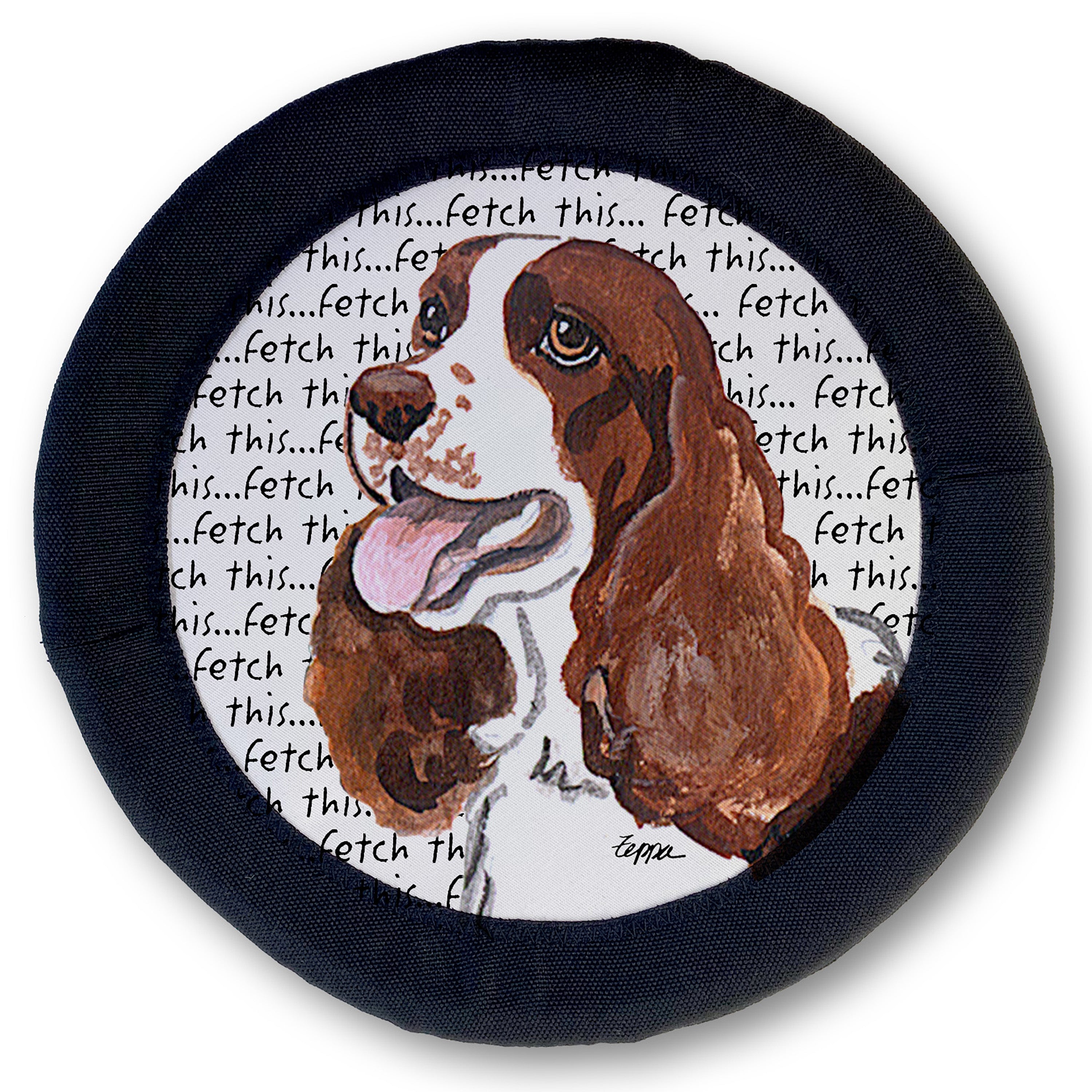 Springer Spaniel FotoFrisby