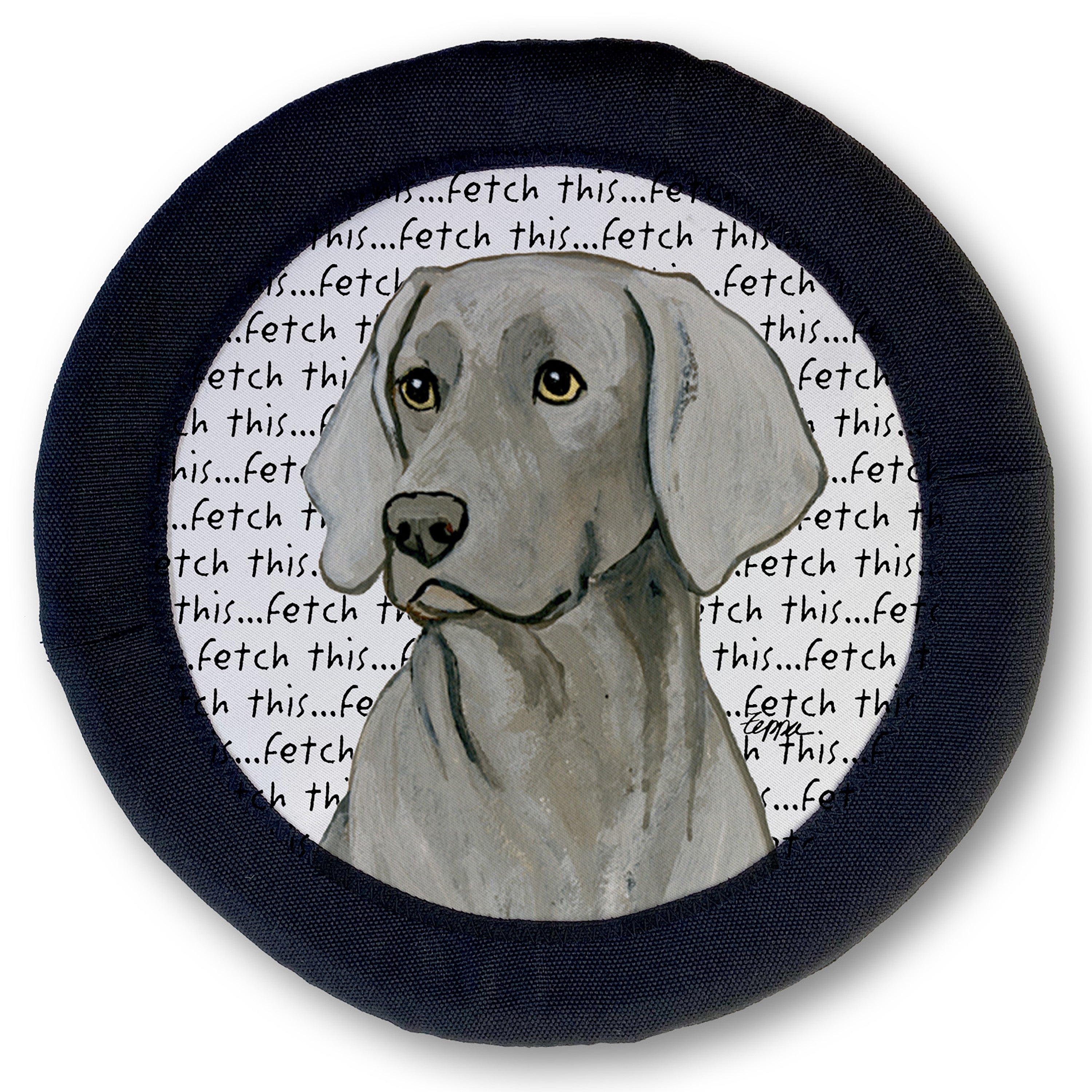Weimaraner Sitting FotoFrisby