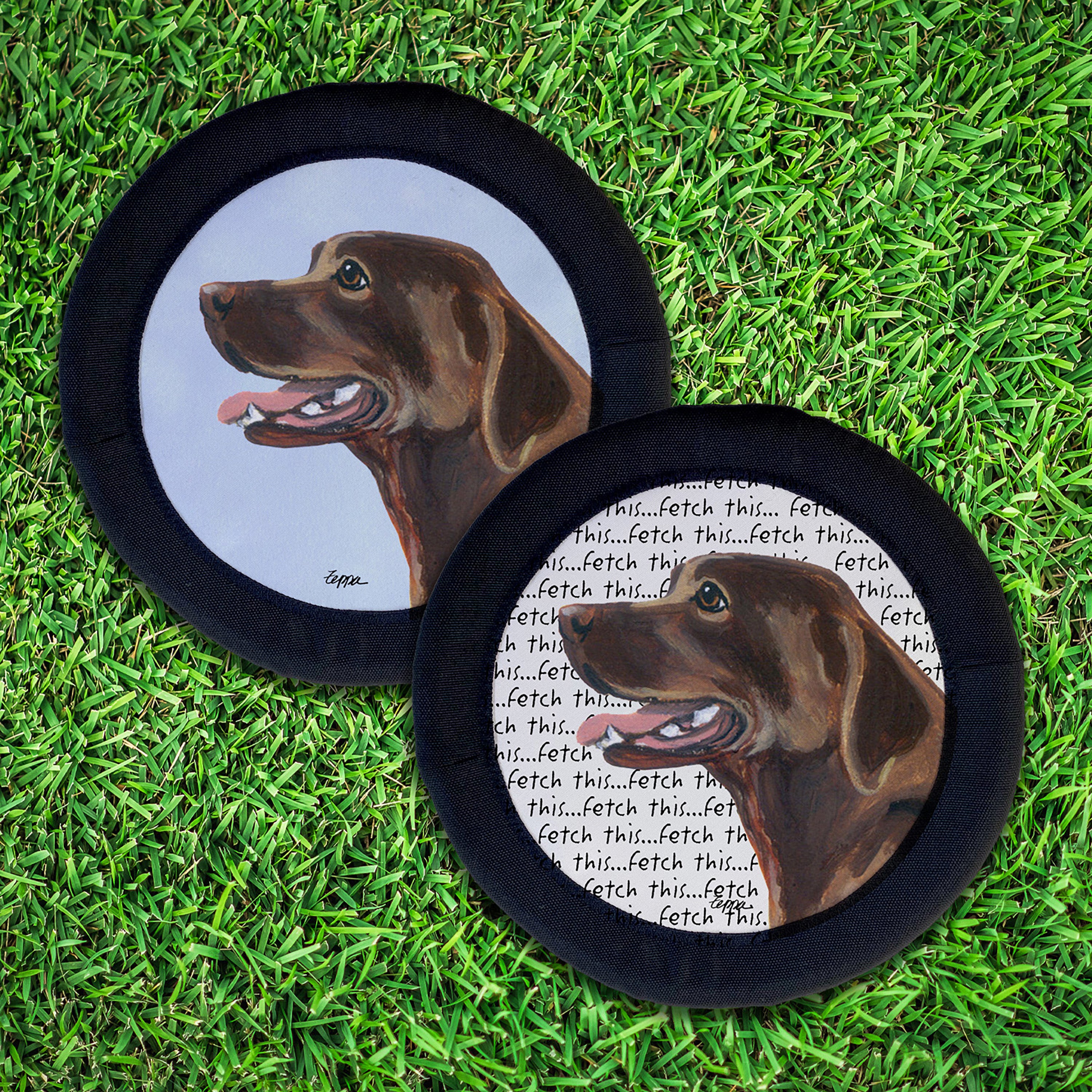 Labrador Retriever FotoFrisby