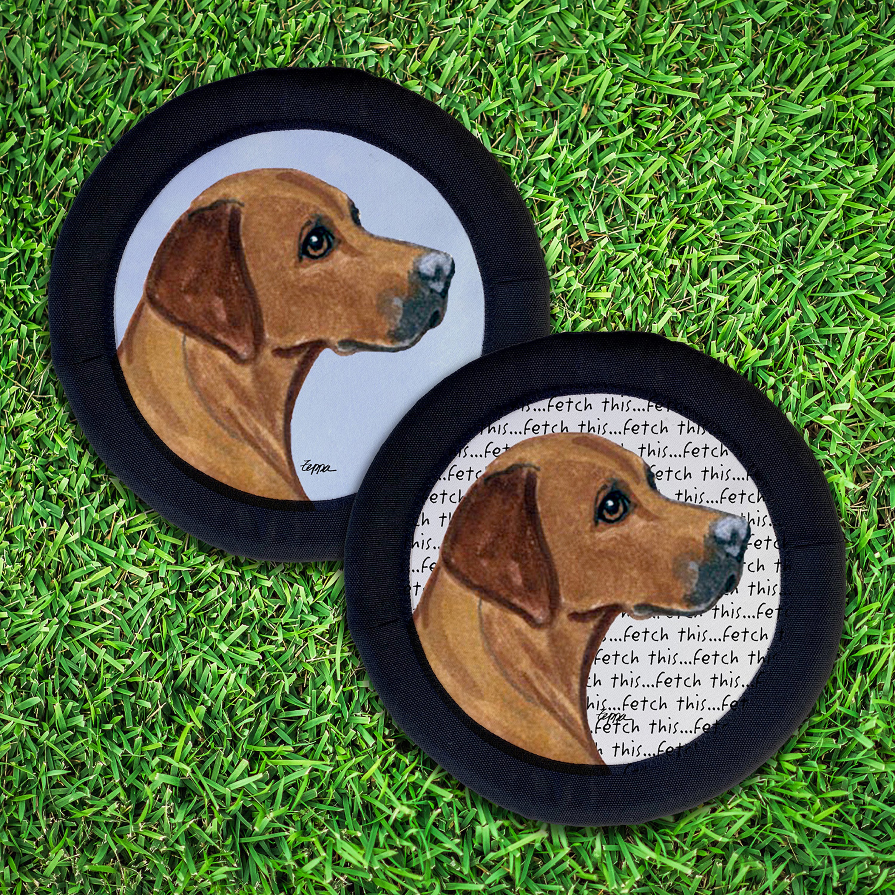 Rhodesian Ridgeback FotoFrisby