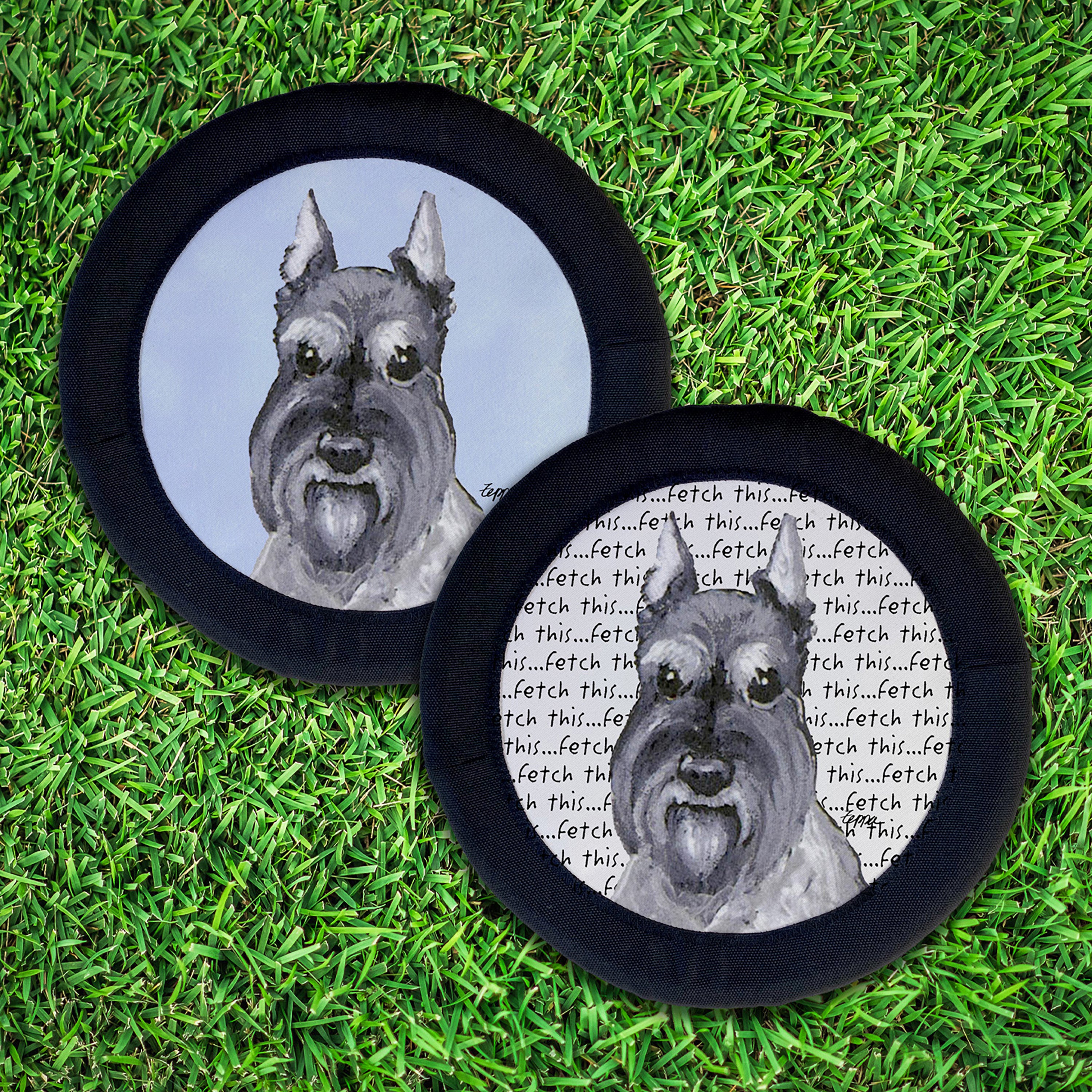Schnauzer Miniature FotoFrisby