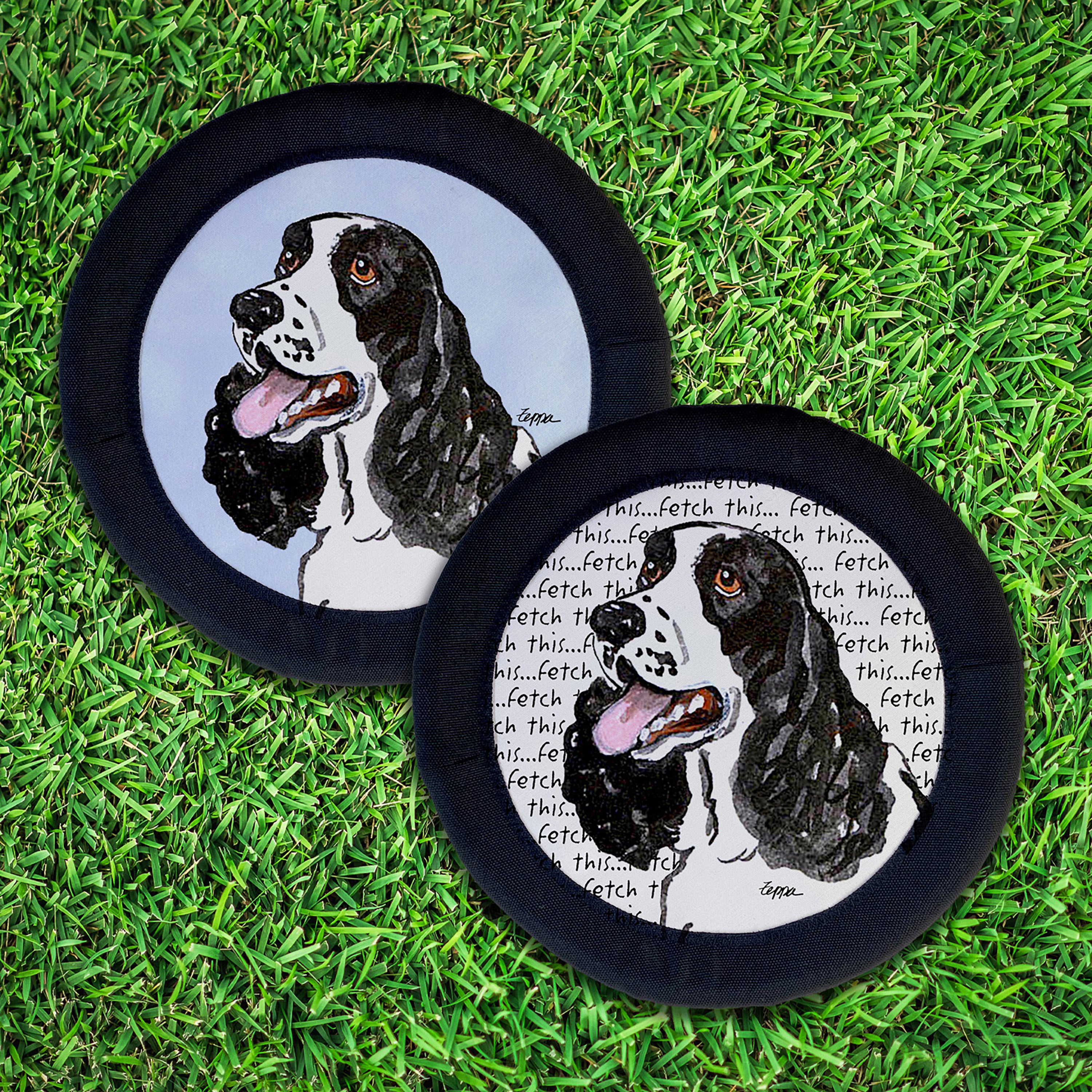 Springer Spaniel FotoFrisby