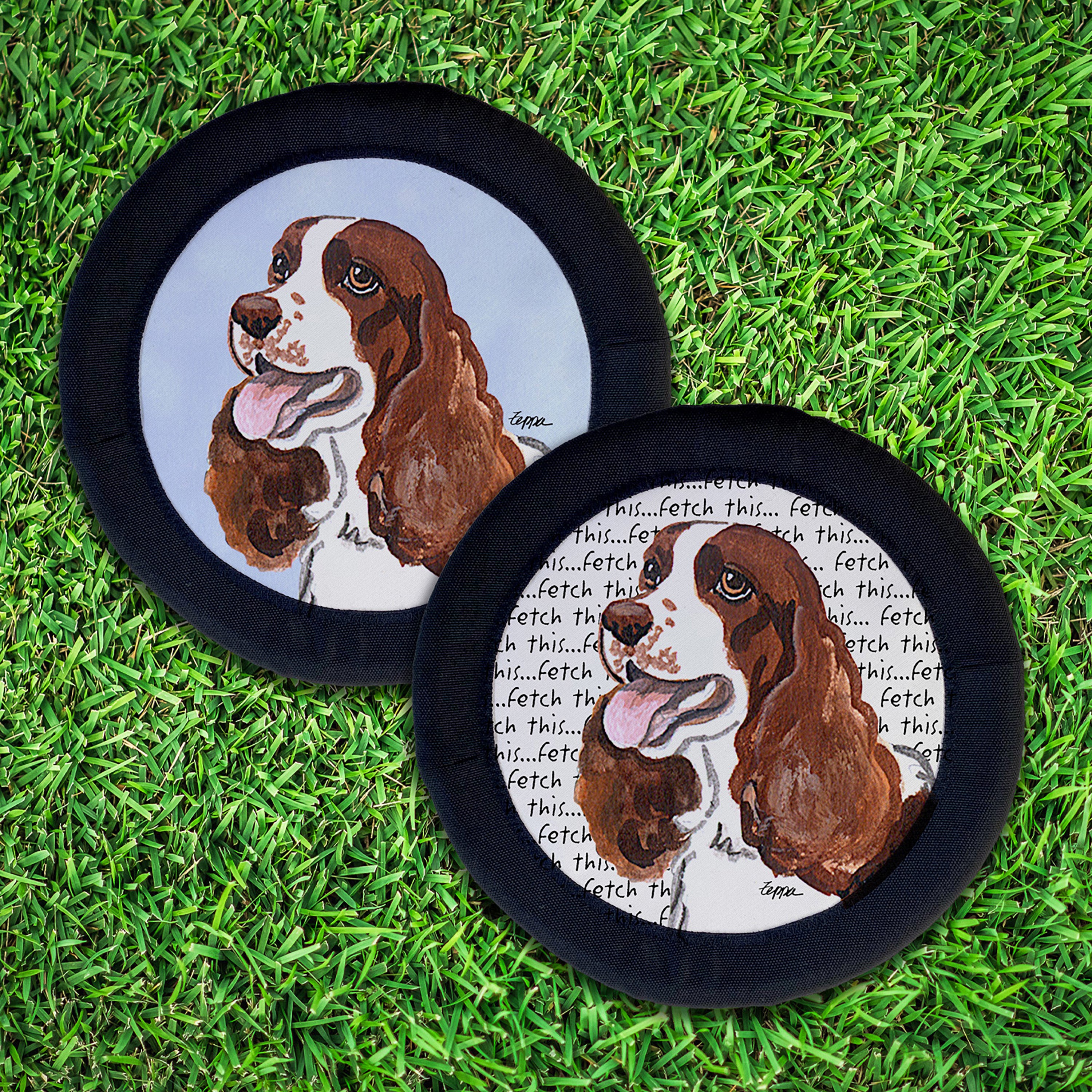 Springer Spaniel FotoFrisby