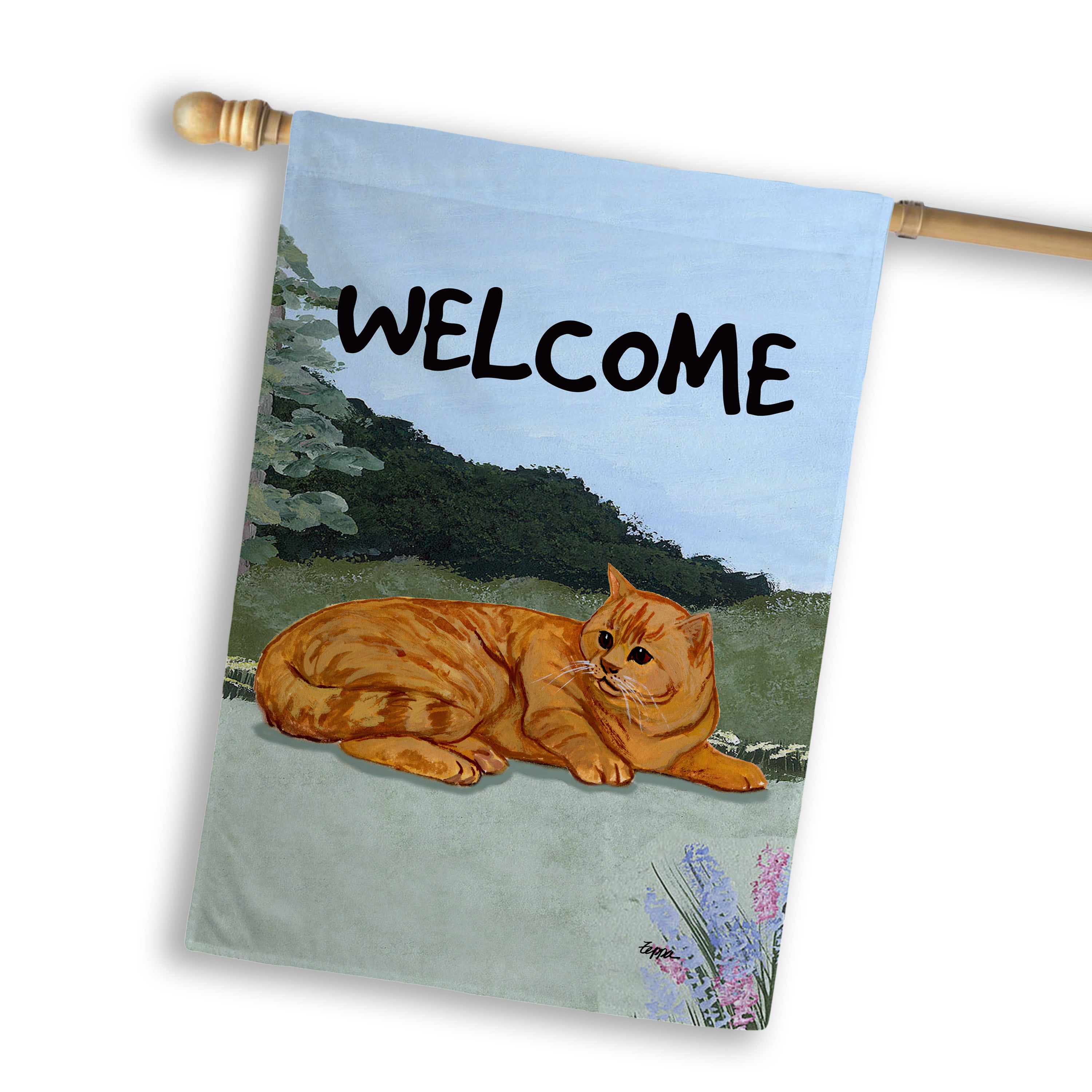 Ornage Tabby Cat House Flag