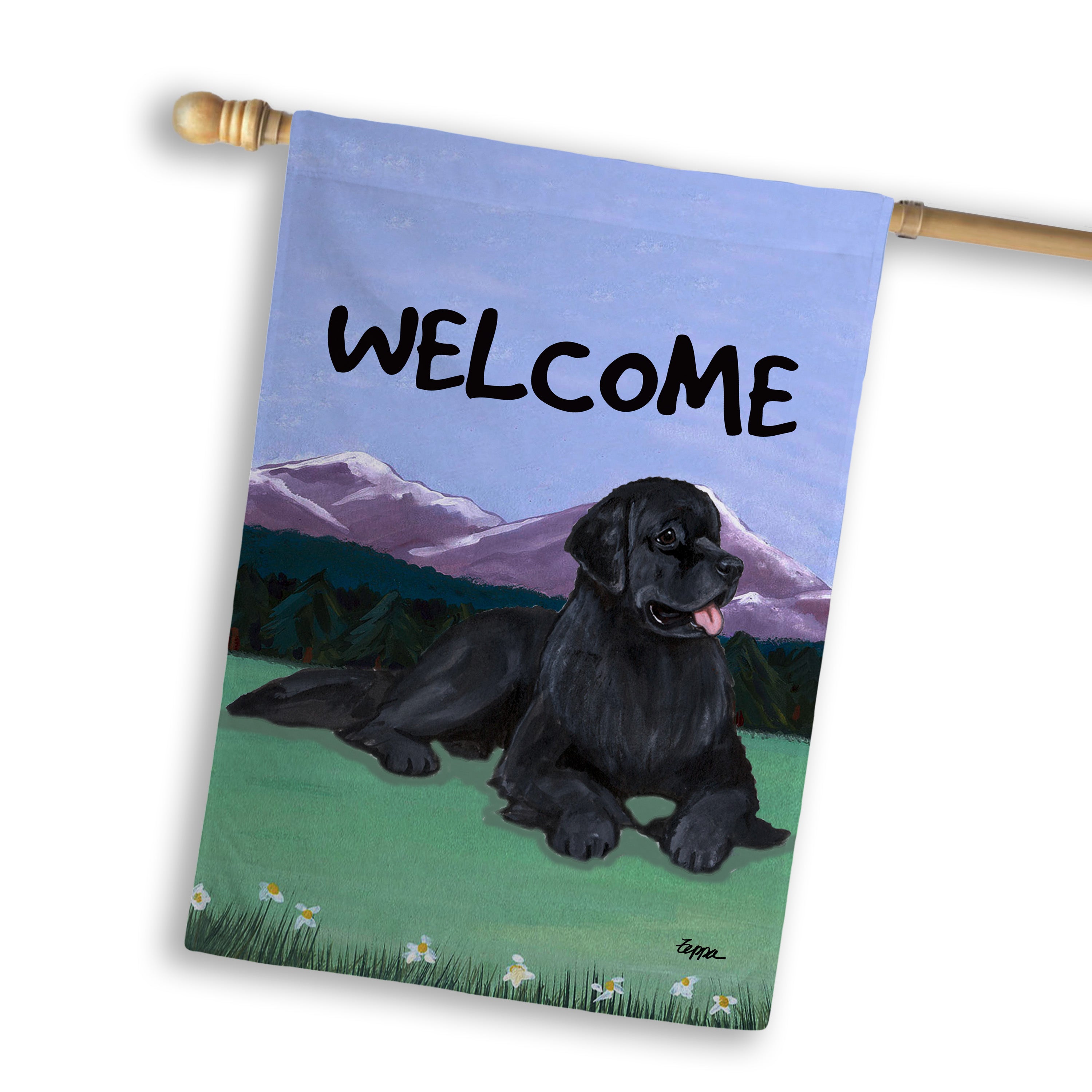Newfoundland House Flag